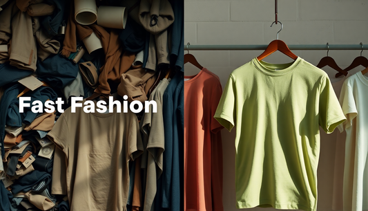 Fast Fashion vs Slow Fashion: Choose Dudeily's Eco Tees for Sustainability - Dudeily