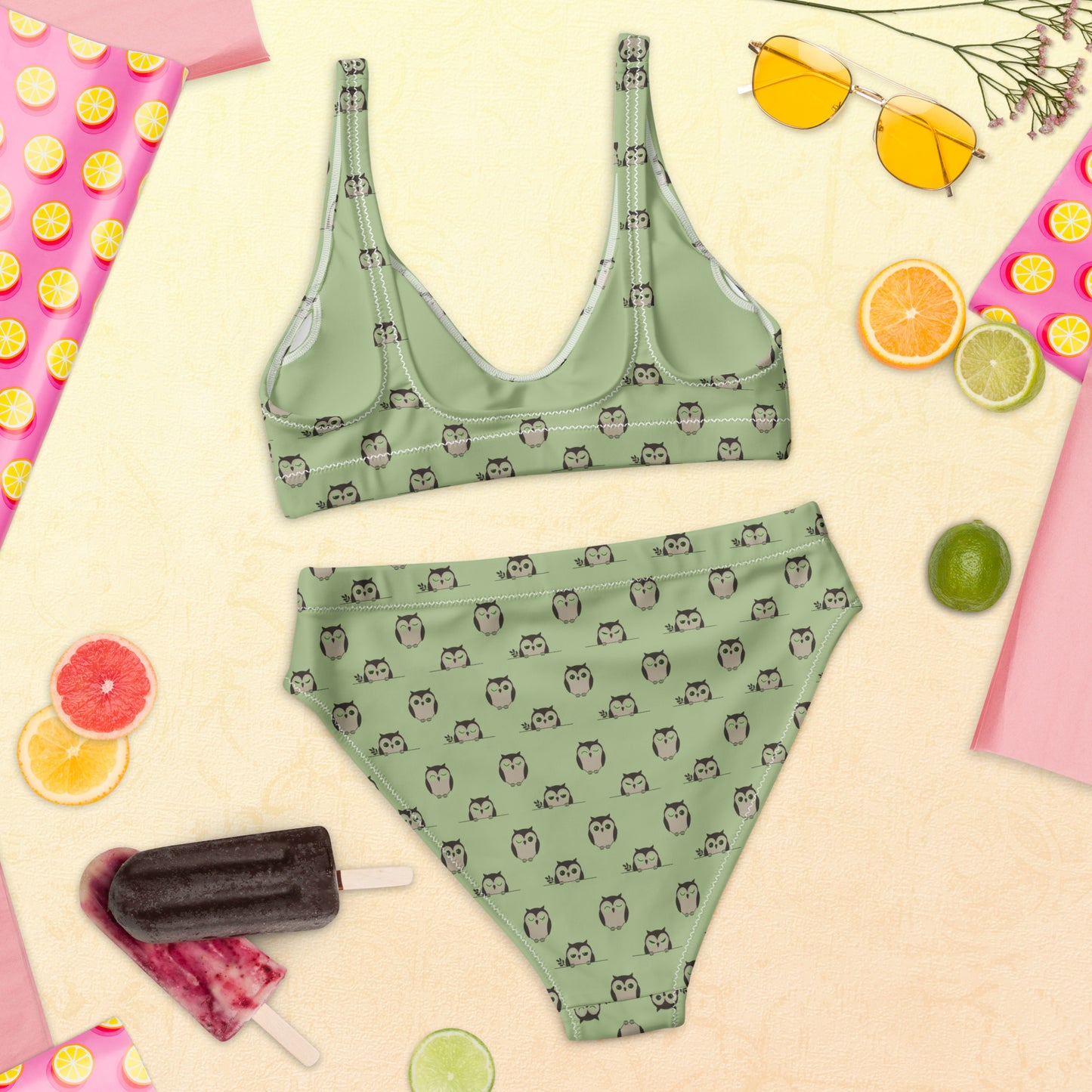 Owl-Themed Recycled High-Waisted Bikini – Sustainable & Stylish Dudeily