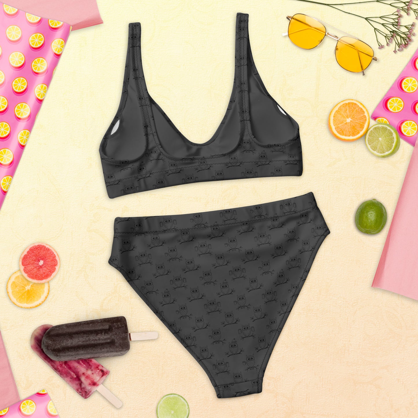 Recycled High-Waisted Bikini – Eco-Friendly Swimwear for owl Lovers Dudeily