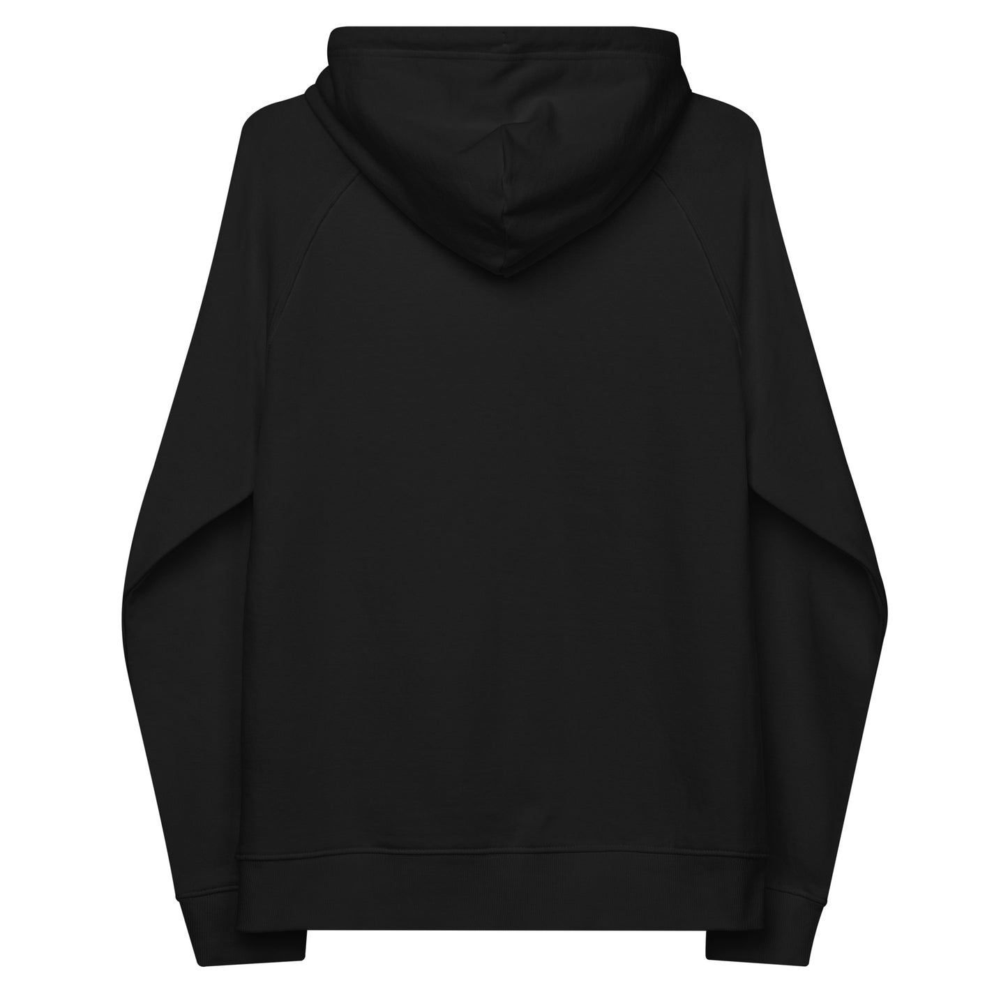 Owl Unisex Eco Raglan Hoodie – "Ethics in Every Feather" | Sustainable Fashion Dudeily