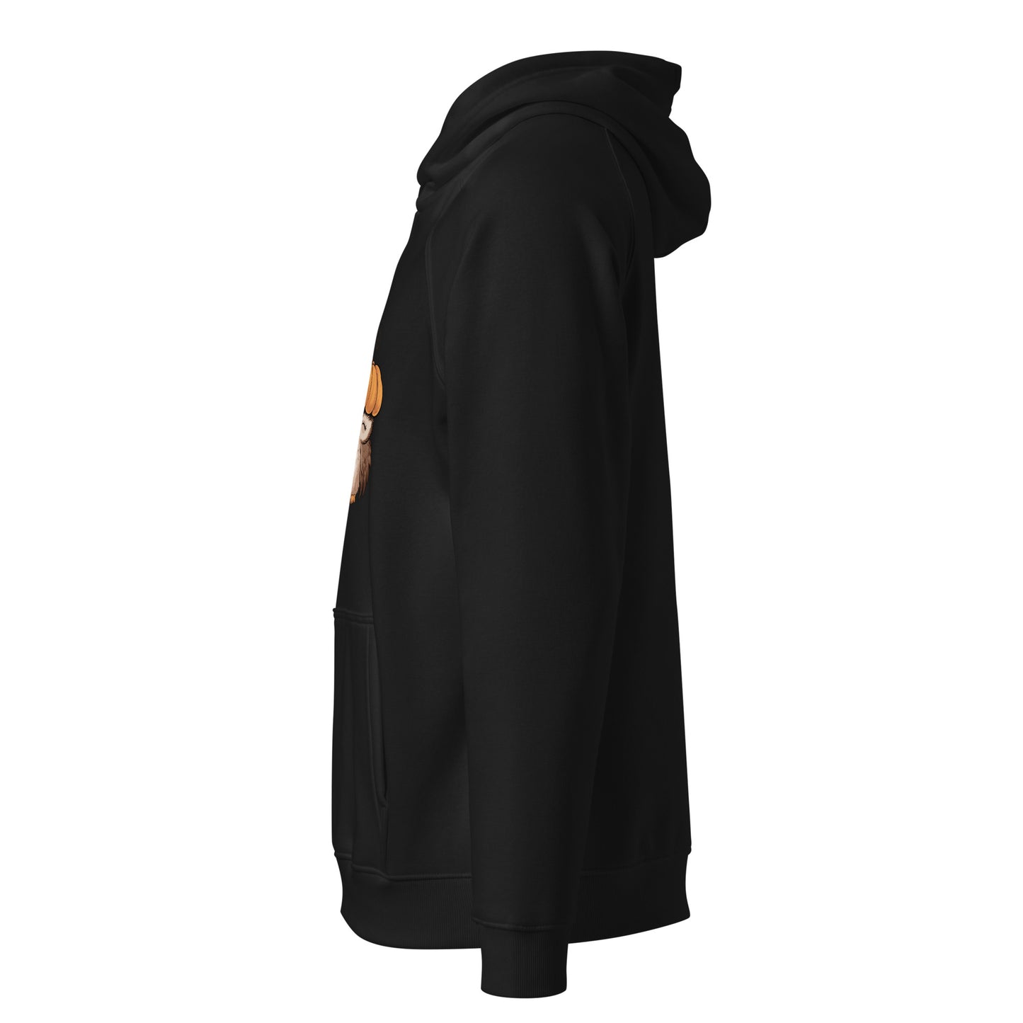 Unisex Eco Raglan Hoodie: Halloween Owl Sustainable Style USA Dudeily