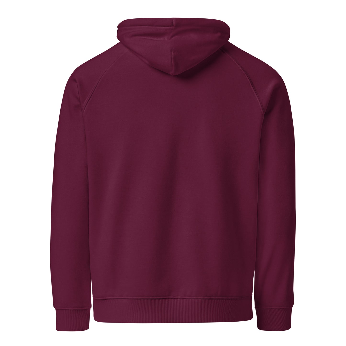 Owl Unisex Eco Raglan Hoodie: 'Wisdom Flies Light' in Fall | Sustainable Fashion Dudeily