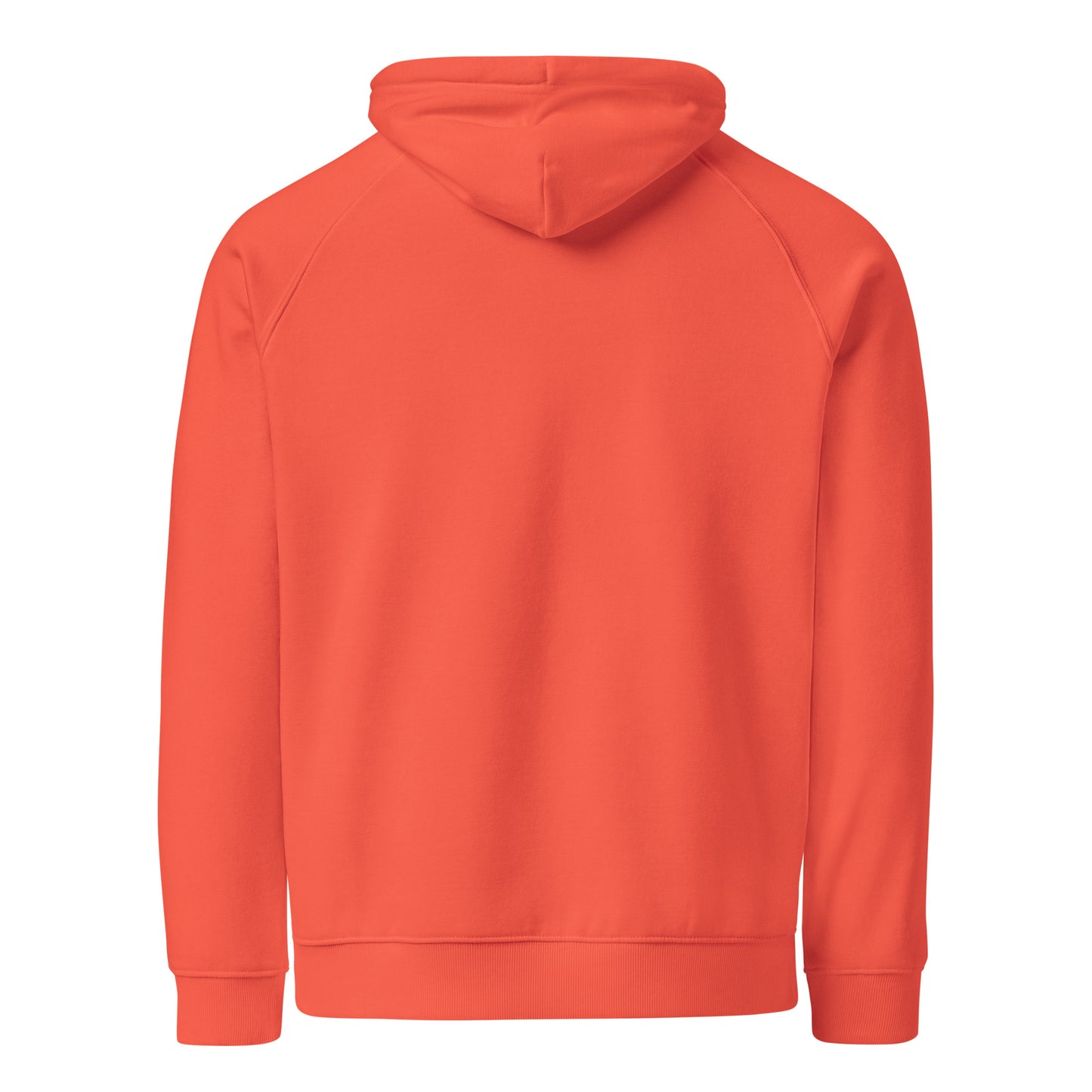 Owl Unisex Eco Raglan Hoodie: 'Wisdom Flies Light' in Fall | Sustainable Fashion Dudeily