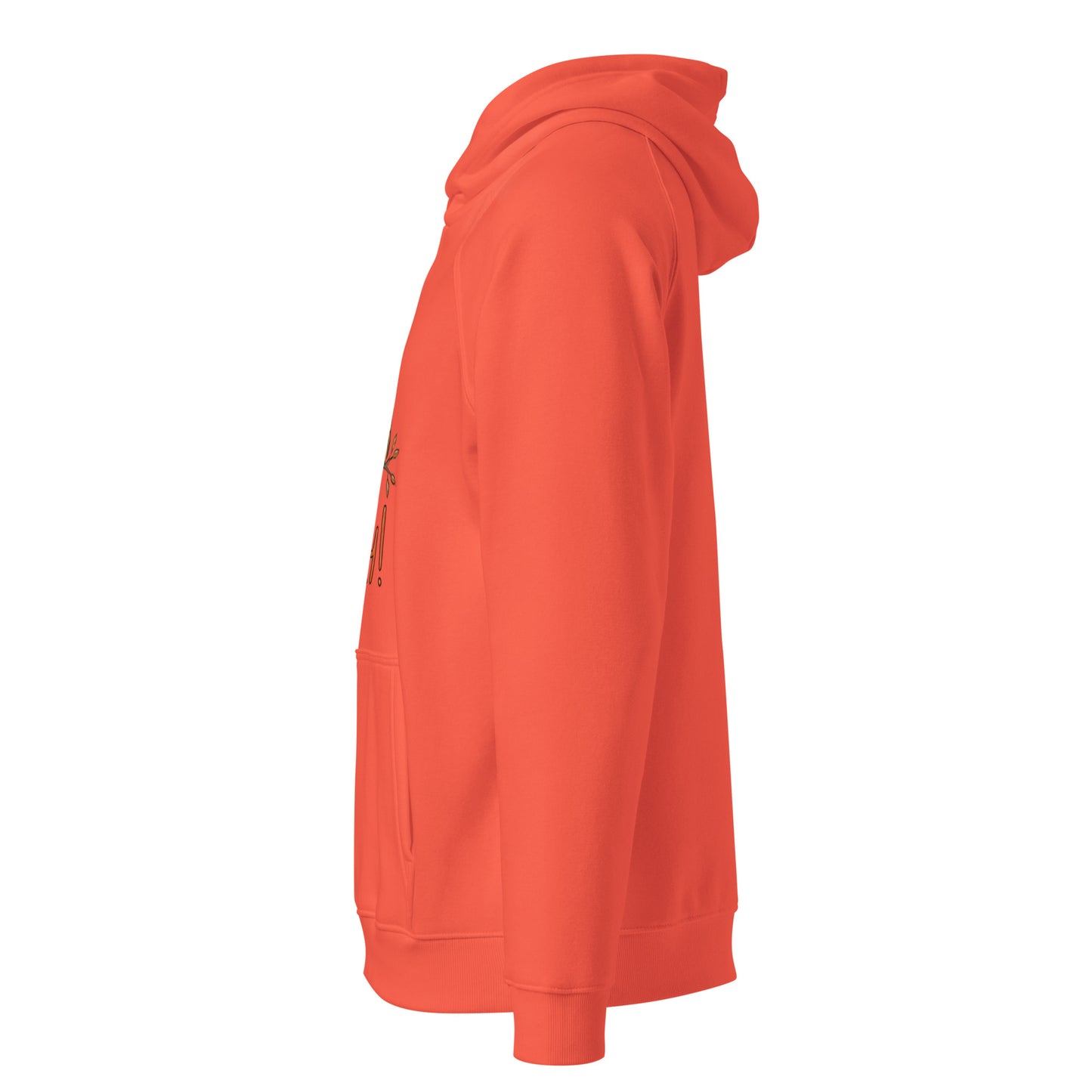 OwlNest Unisex Eco Raglan Hoodie – Where Comfort Meets Conscious Living Dudeily