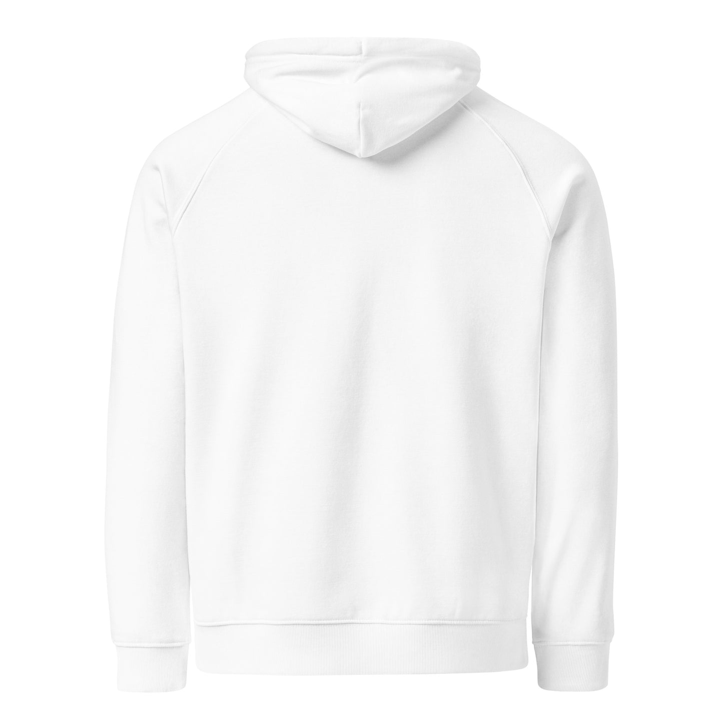 Owl Unisex Eco Raglan Hoodie: 'Wisdom Flies Light' in Fall | Sustainable Fashion Dudeily