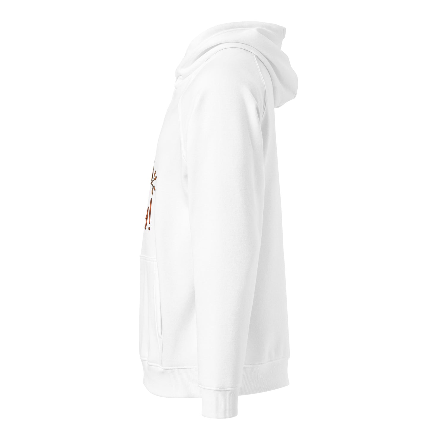 OwlNest Unisex Eco Raglan Hoodie – Where Comfort Meets Conscious Living Dudeily