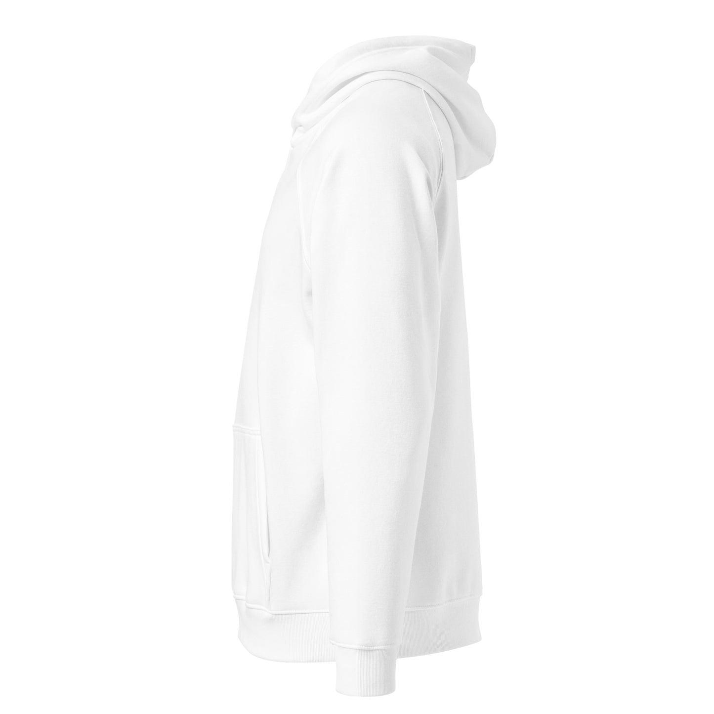 Owl Unisex Eco Raglan Hoodie: 'Wisdom Flies Light' in Fall | Sustainable Fashion Dudeily