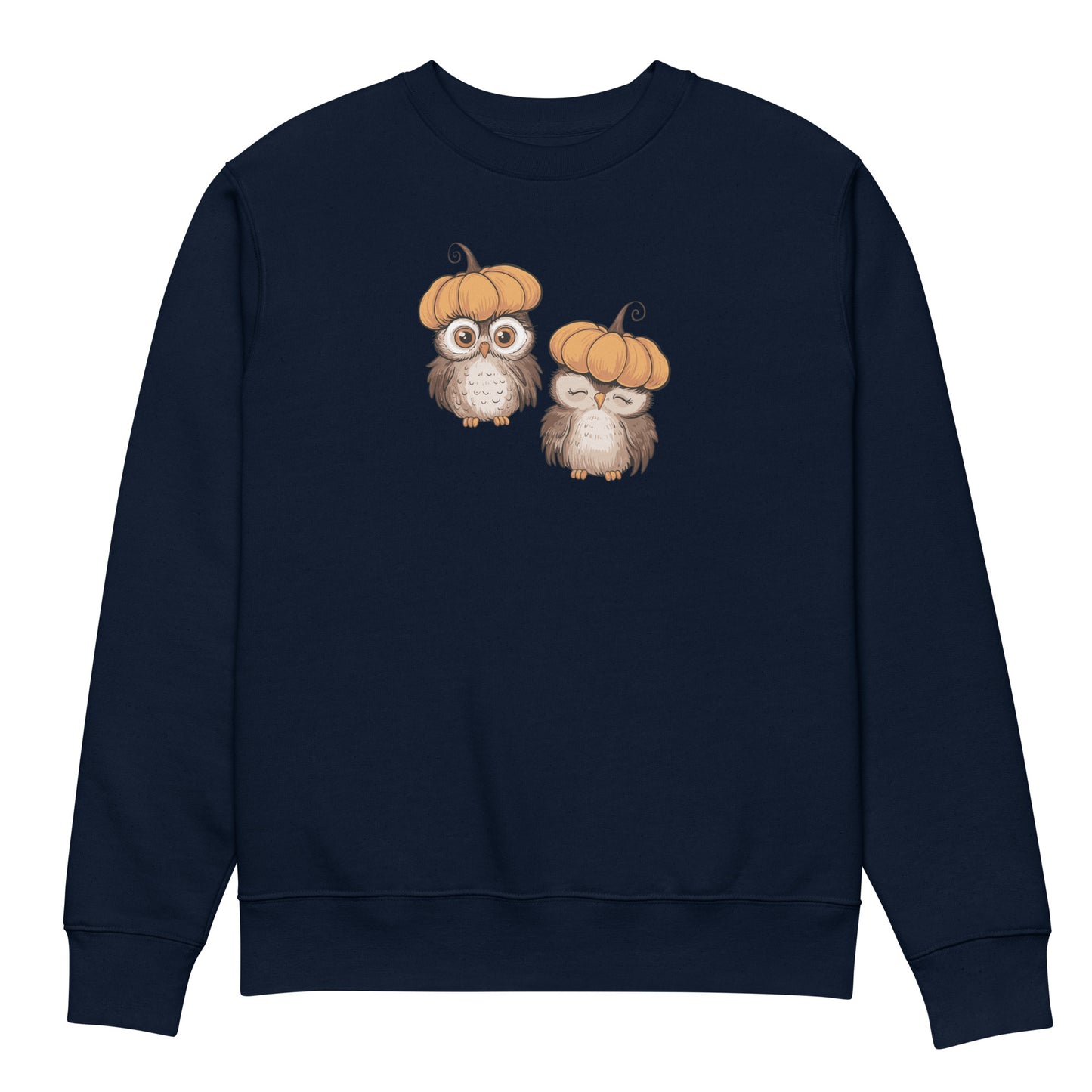 Unisex Eco Sweatshirt: Halloween Owl Sustainable Cozy Style USA Dudeily