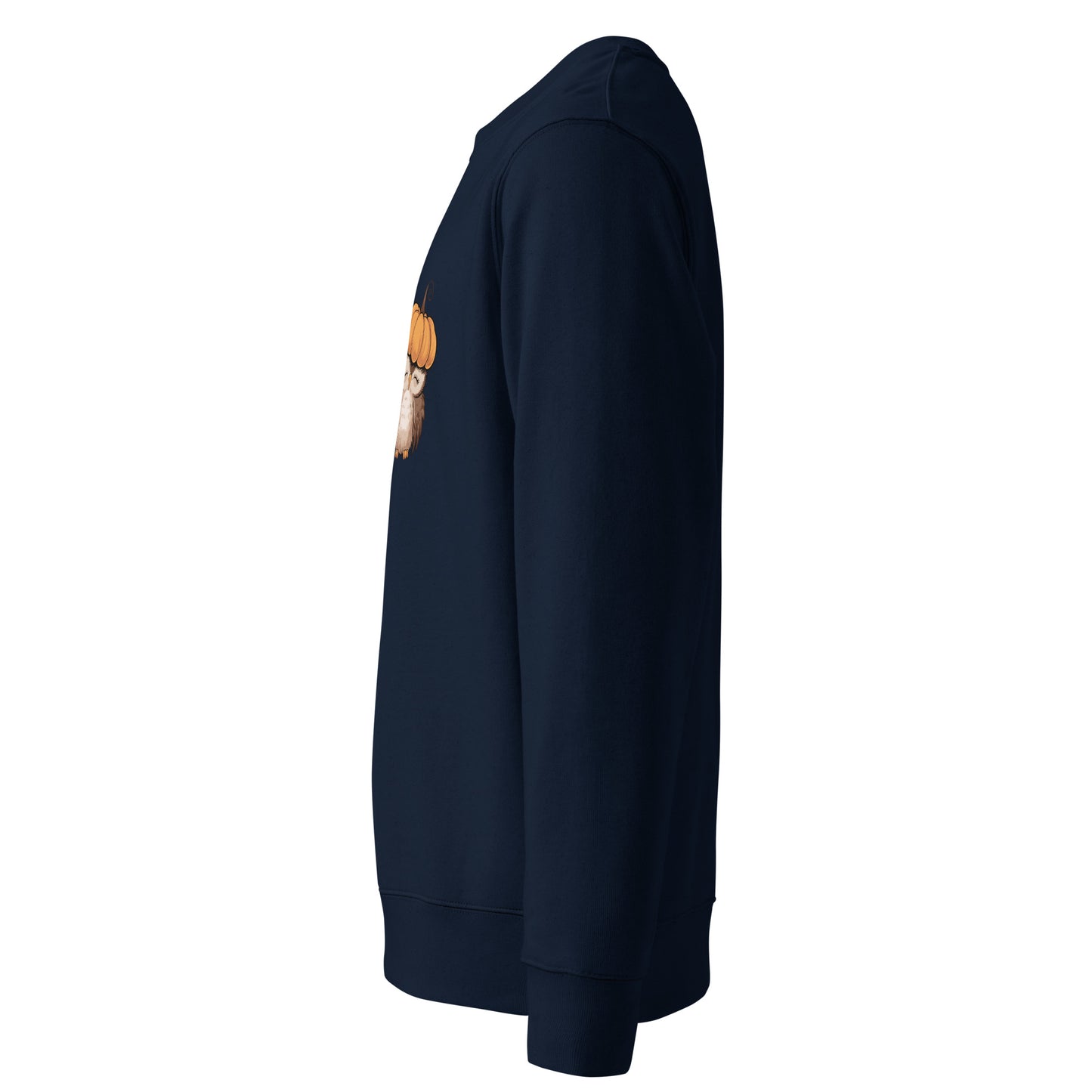 Unisex Eco Sweatshirt: Halloween Owl Sustainable & Cozy Style USA Dudeily