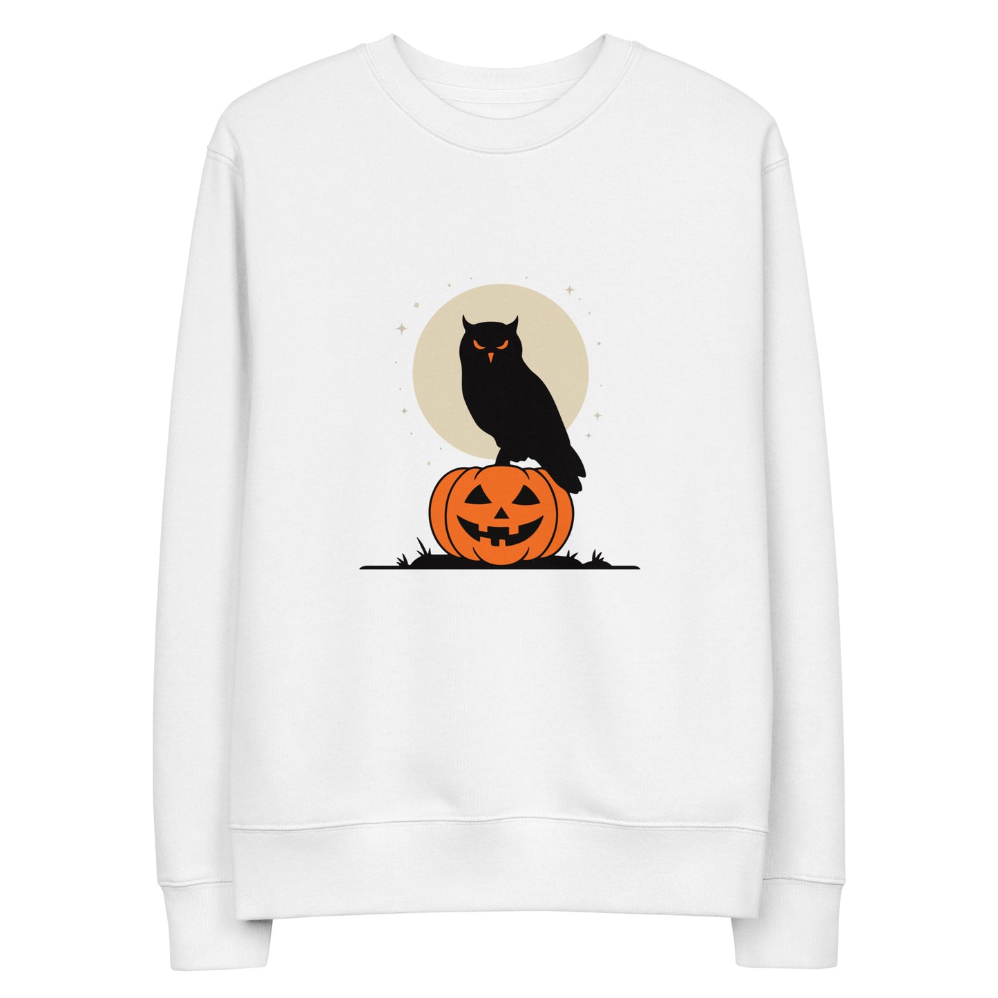 Unisex Eco Sweatshirt: Halloween Owl Cozy Sustainable Style USA Dudeily