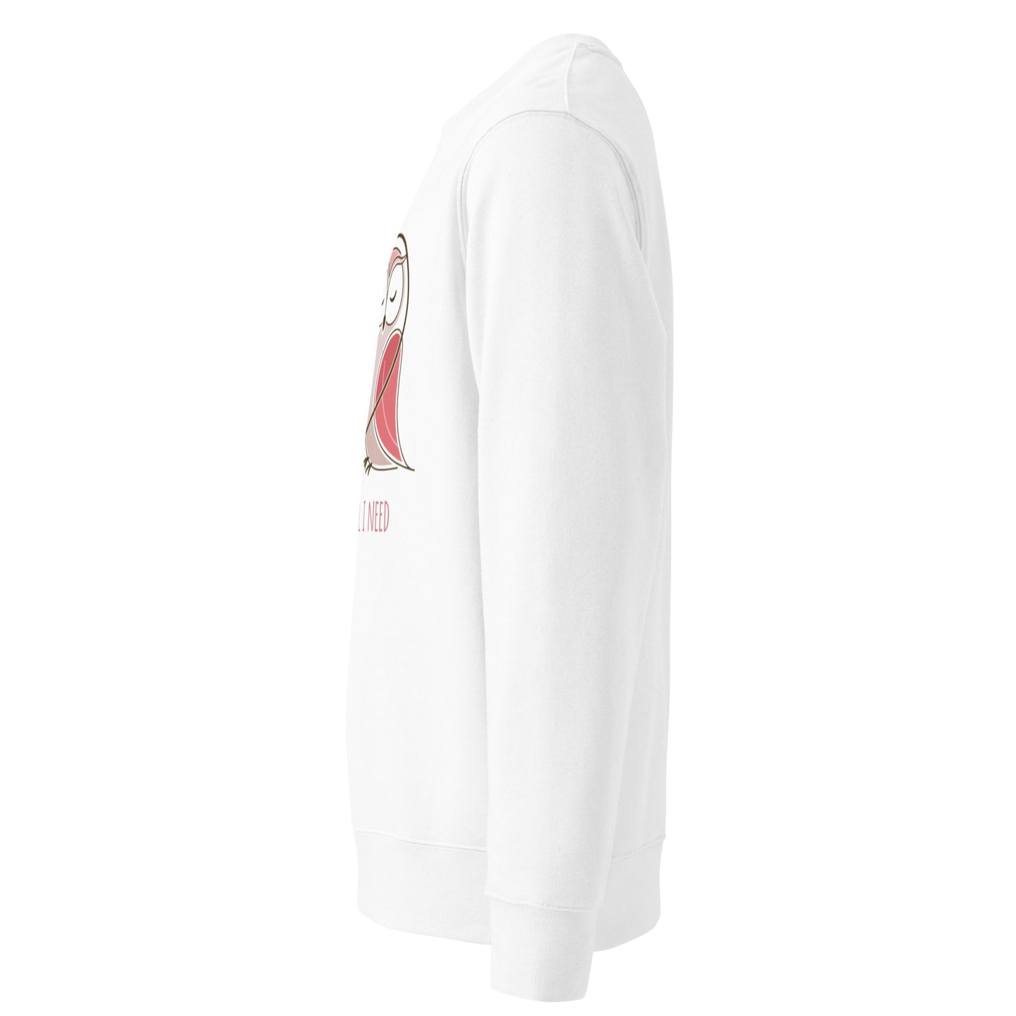 Owl-Themed Unisex Eco Sweatshirt | Sustainable fashion, Stylish & Comfortable Dudeily