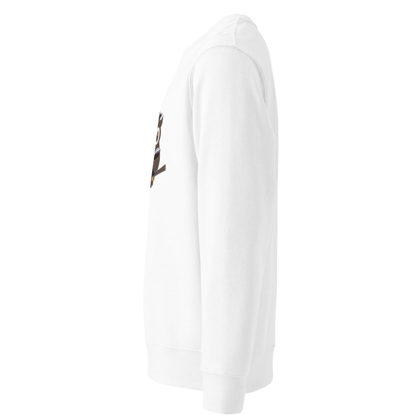 Unisex Eco Sweatshirt: Halloween Owl Cozy Sustainable Style USA Dudeily