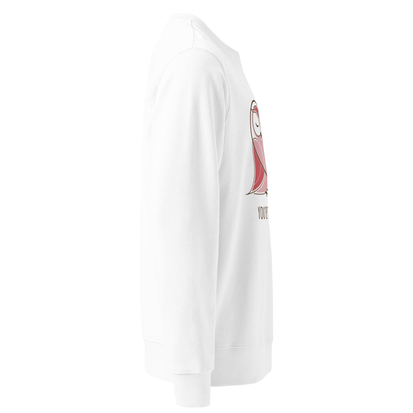 Owl-Themed Unisex Eco Sweatshirt | Sustainable fashion, Stylish & Comfortable Dudeily