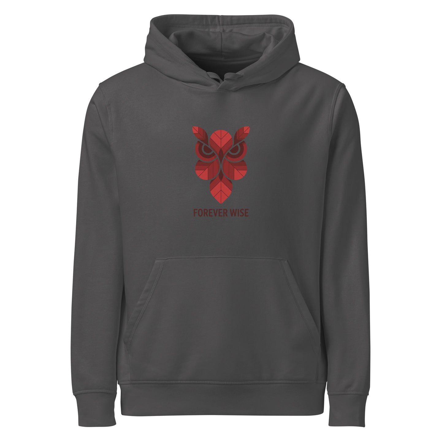Unisex Organic Mid-Weight Hoodie: 'Forever Wise' | Ethical Owl Clothing USA Anthracite Dudeily