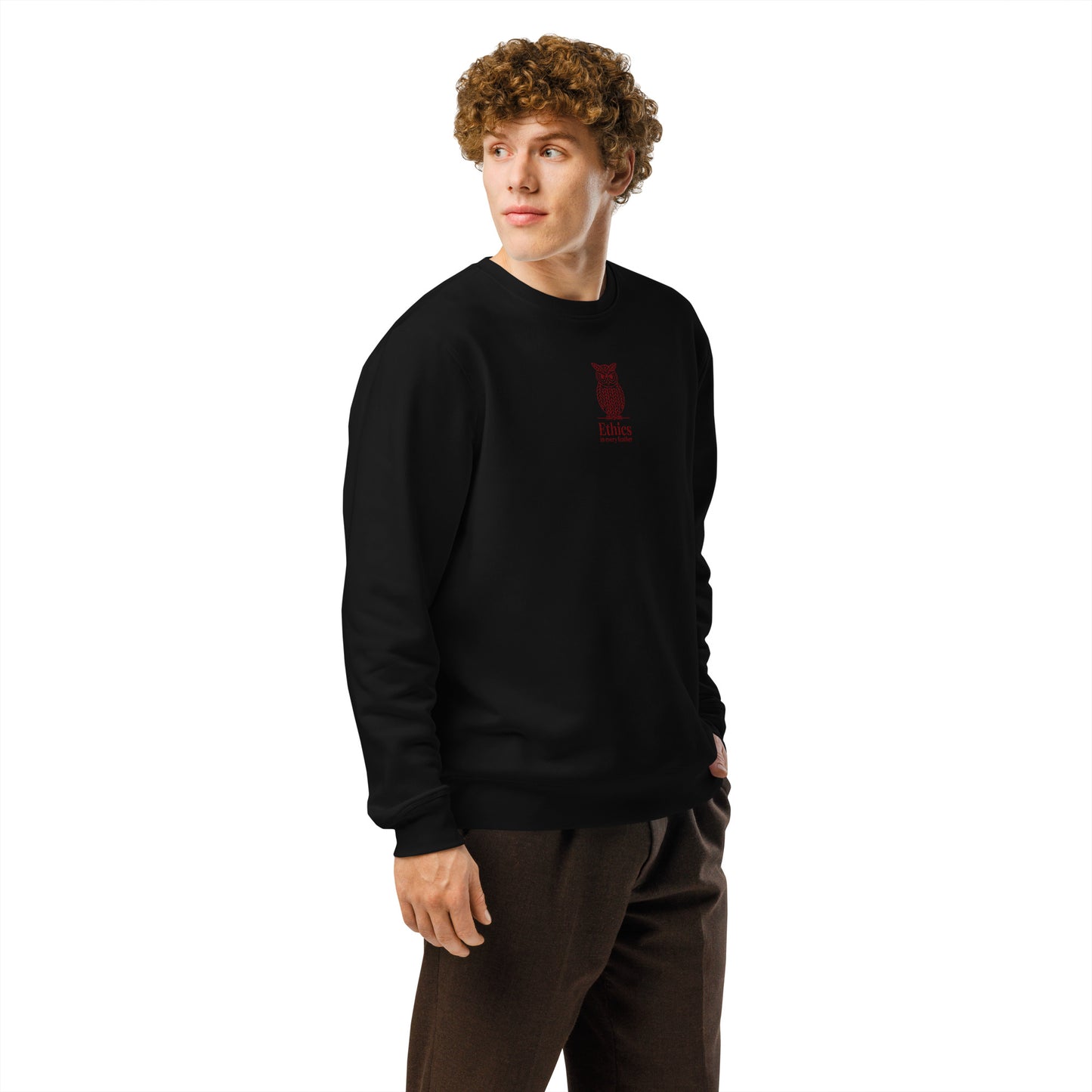 Owl Unisex Organic Mid-Weight Sweatshirt – "Ethics in Every Feather" | Sustainable Fashion USA Dudeily