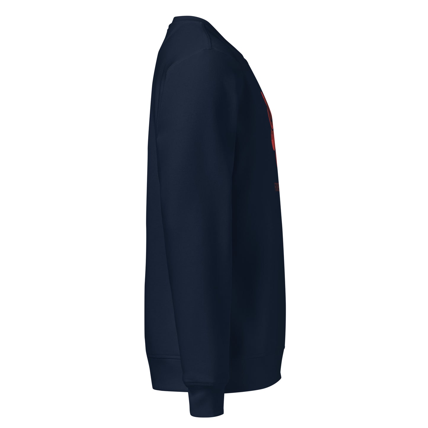 Printed Mid-Weight Sweatshirt: 'Forever Wise' in Fall | Sustainable Owl Fashion USA Dudeily