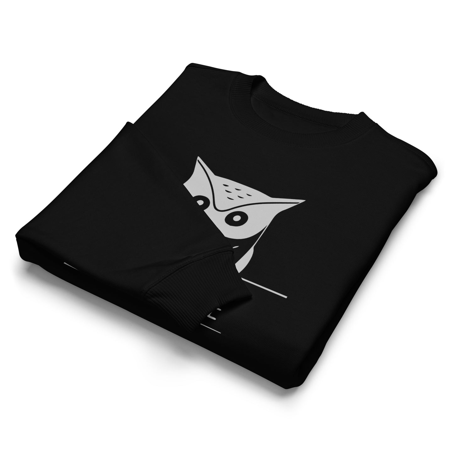 Owl Unisex Organic Oversized Sweatshirt: 'Stay Cozy Hoot Loud' in Fall | Sustainable Owl Fashion USA Dudeily