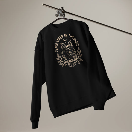 Unisex Organic Oversized Sweatshirt: 'Peace in the Night' in Fall | Sustainable Owl Fashion USA Dudeily