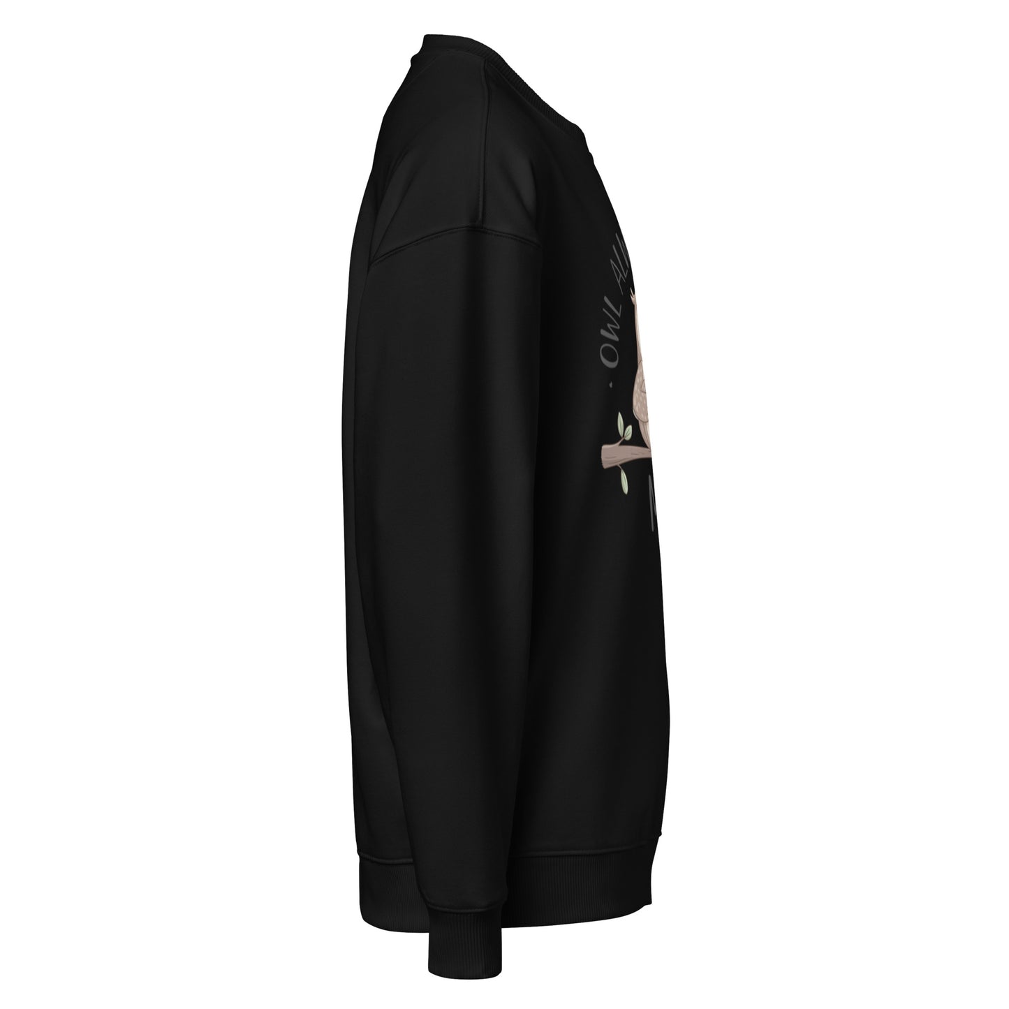 Unisex Organic Oversized Sweatshirt - Eco-Friendly Fashion Essentials Dudeily