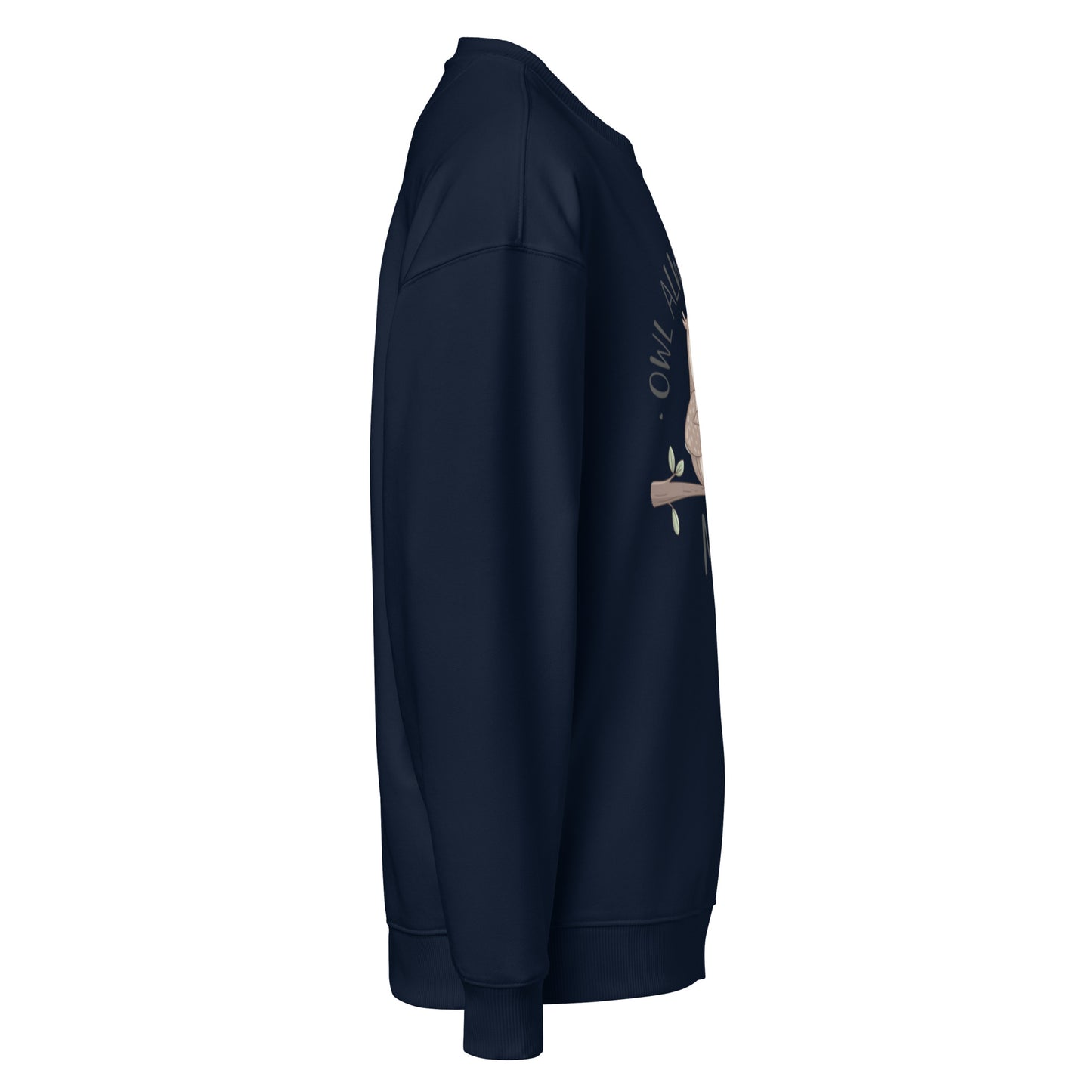 Unisex Organic Oversized Sweatshirt - Eco-Friendly Fashion Essentials Dudeily
