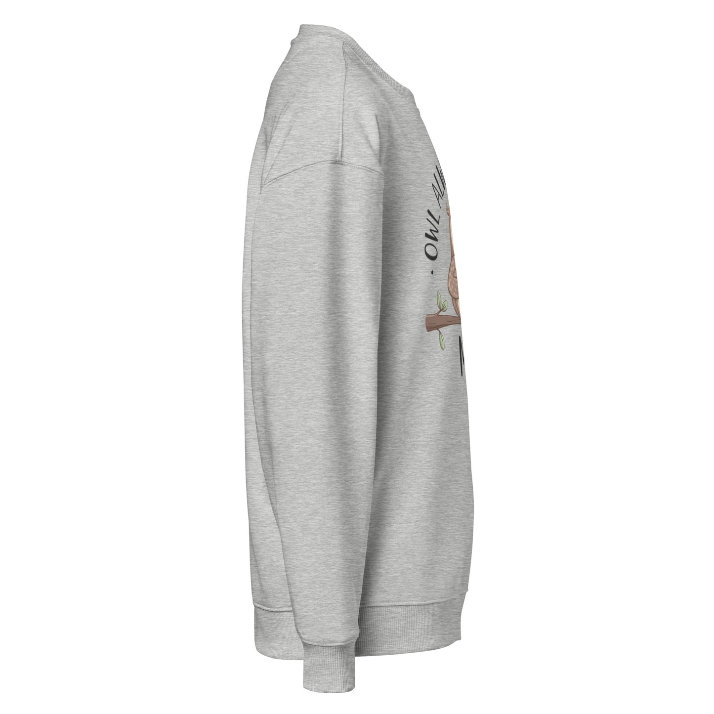 Unisex Organic Oversized Sweatshirt - Eco-Friendly Fashion Essentials Dudeily