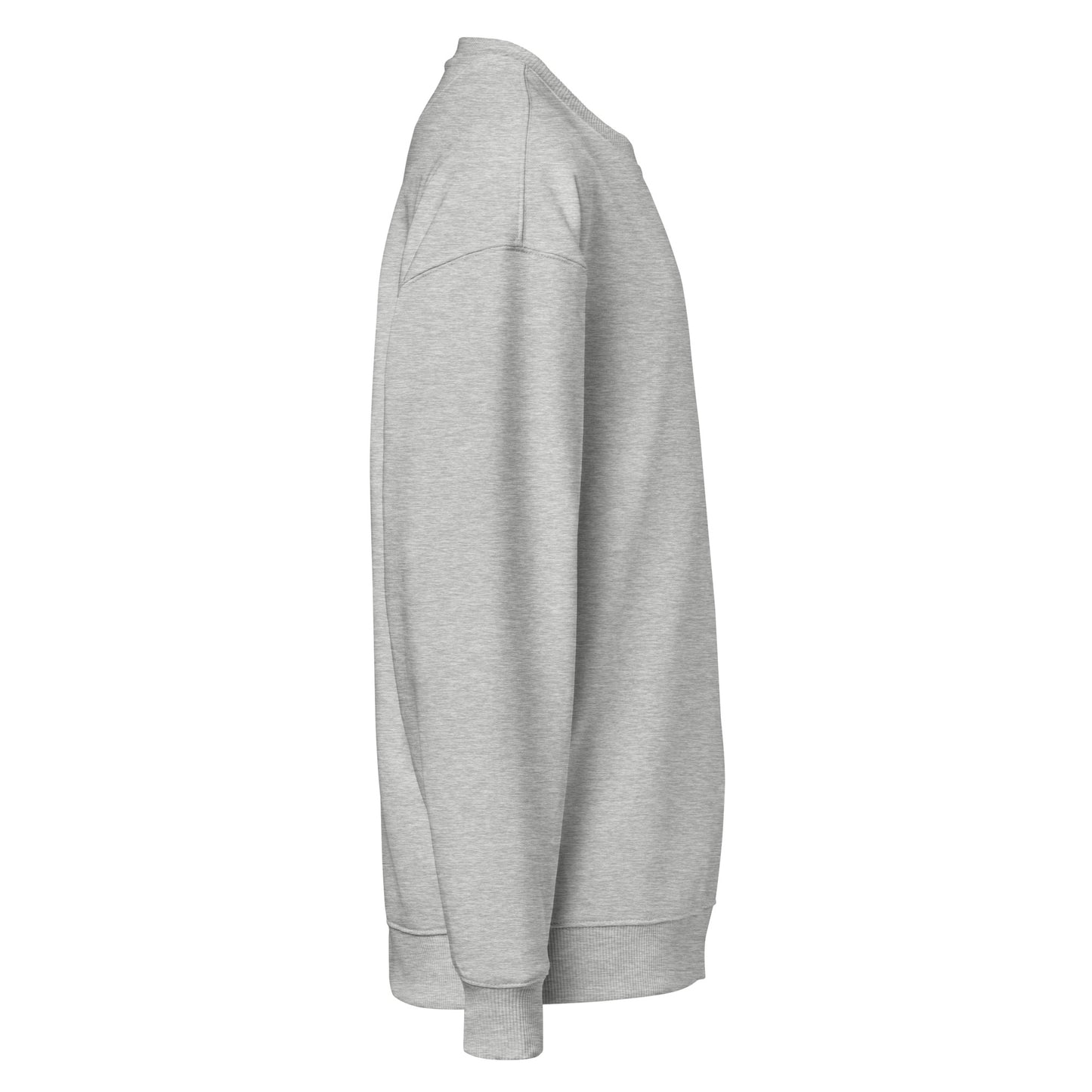 Unisex Organic Oversized Sweatshirt: 'Stay Cozy Hoot Loud' in Fall | Sustainable Owl Fashion USA Dudeily