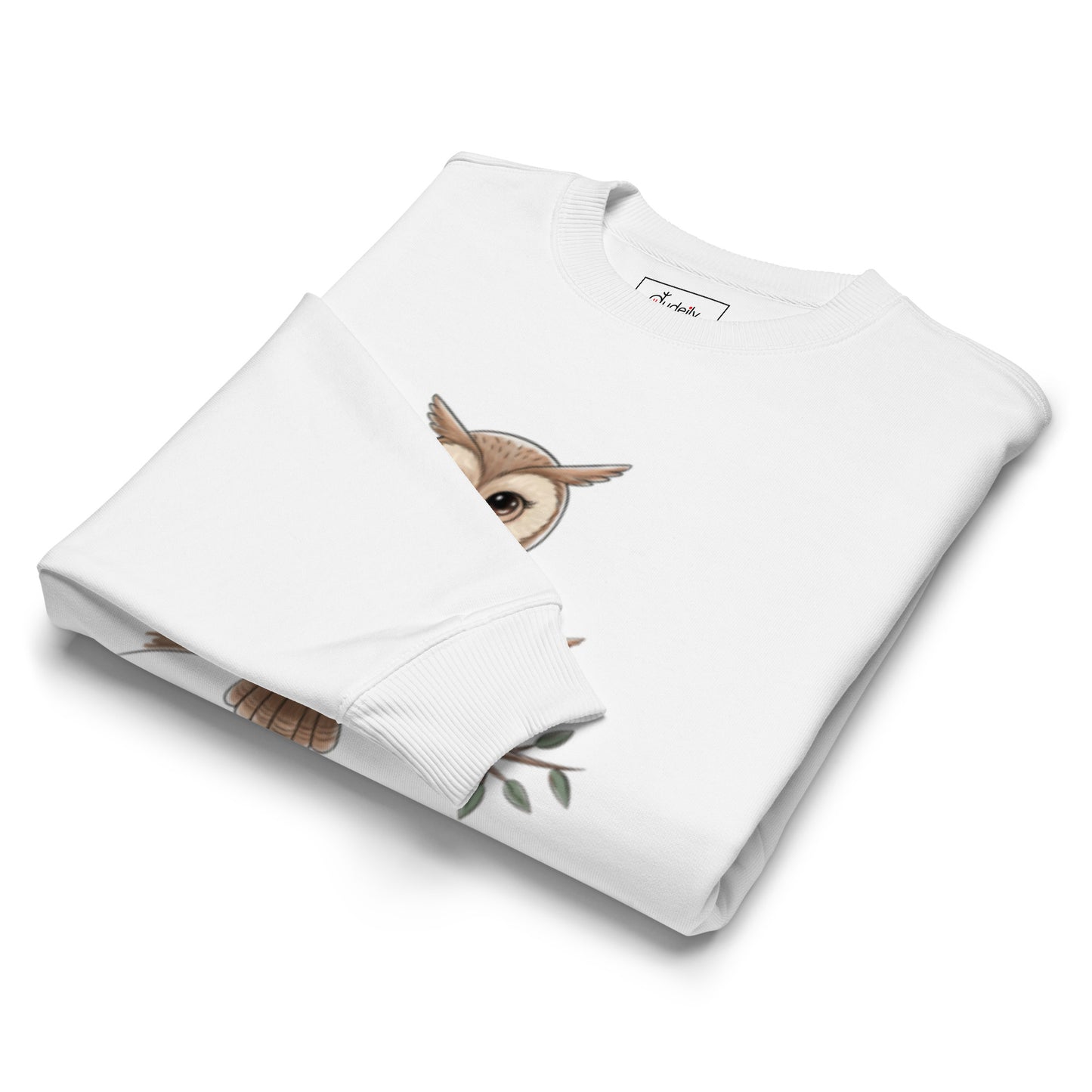 Unisex Organic Oversized Sweatshirt – Sustainable Owl-Themed Relaxed Fit Pullover Dudeily