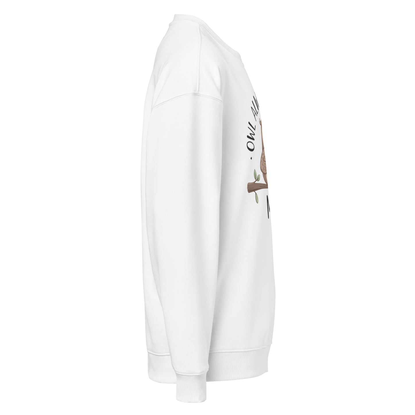 Unisex Organic Oversized Sweatshirt - Eco-Friendly Fashion Essentials Dudeily