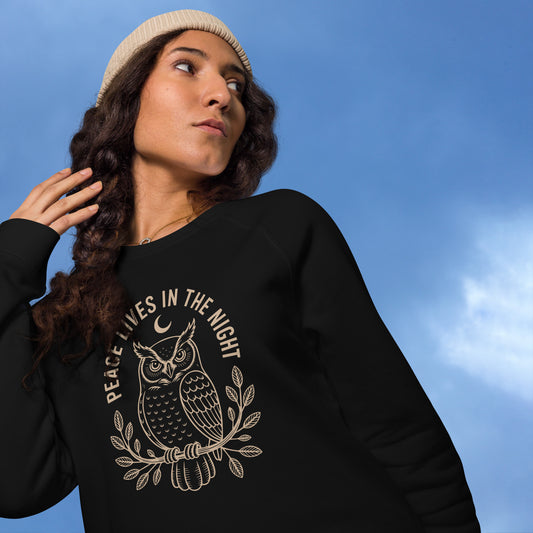 Raglan Sweatshirt: 'Peace in the Night' in Fall | Sustainable Owl Fashion USA Dudeily