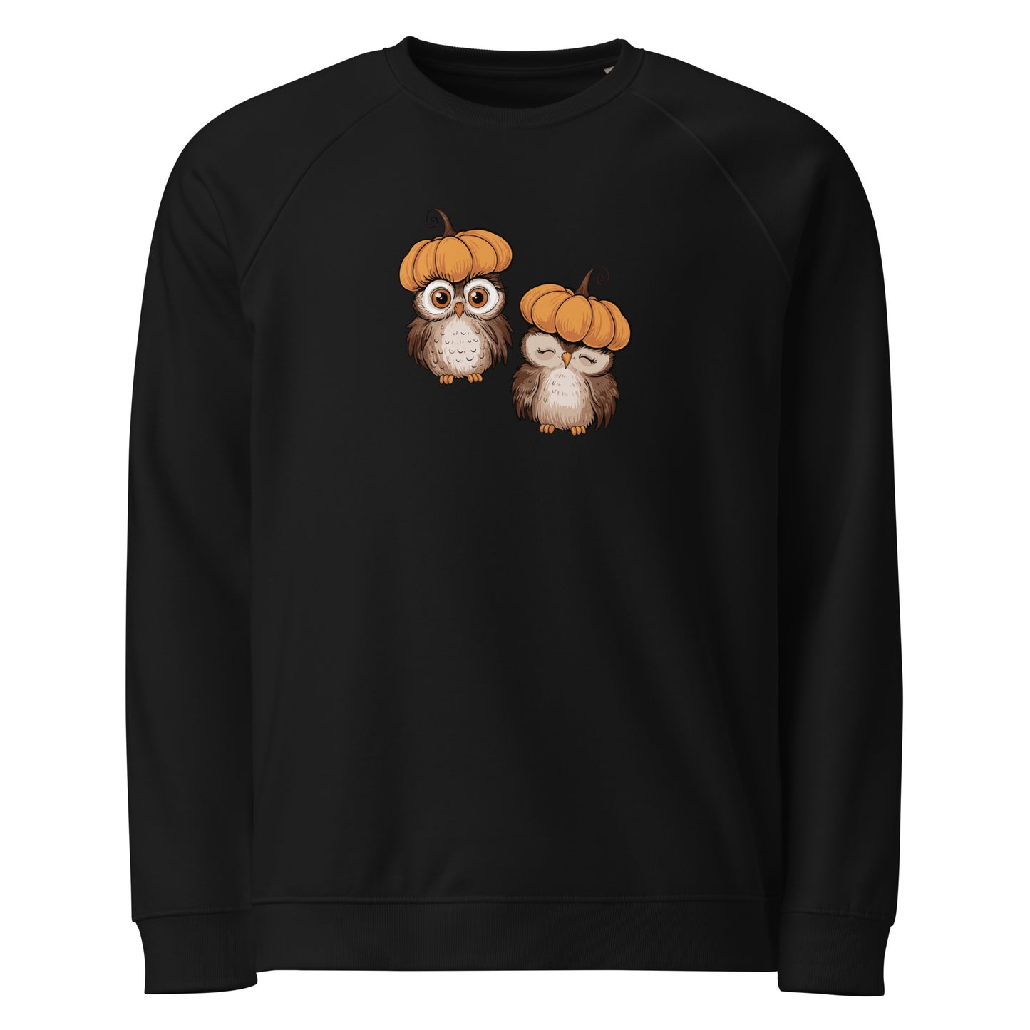 Unisex Organic Raglan Sweatshirt: Halloween Owl Eco-Friendly USA Dudeily