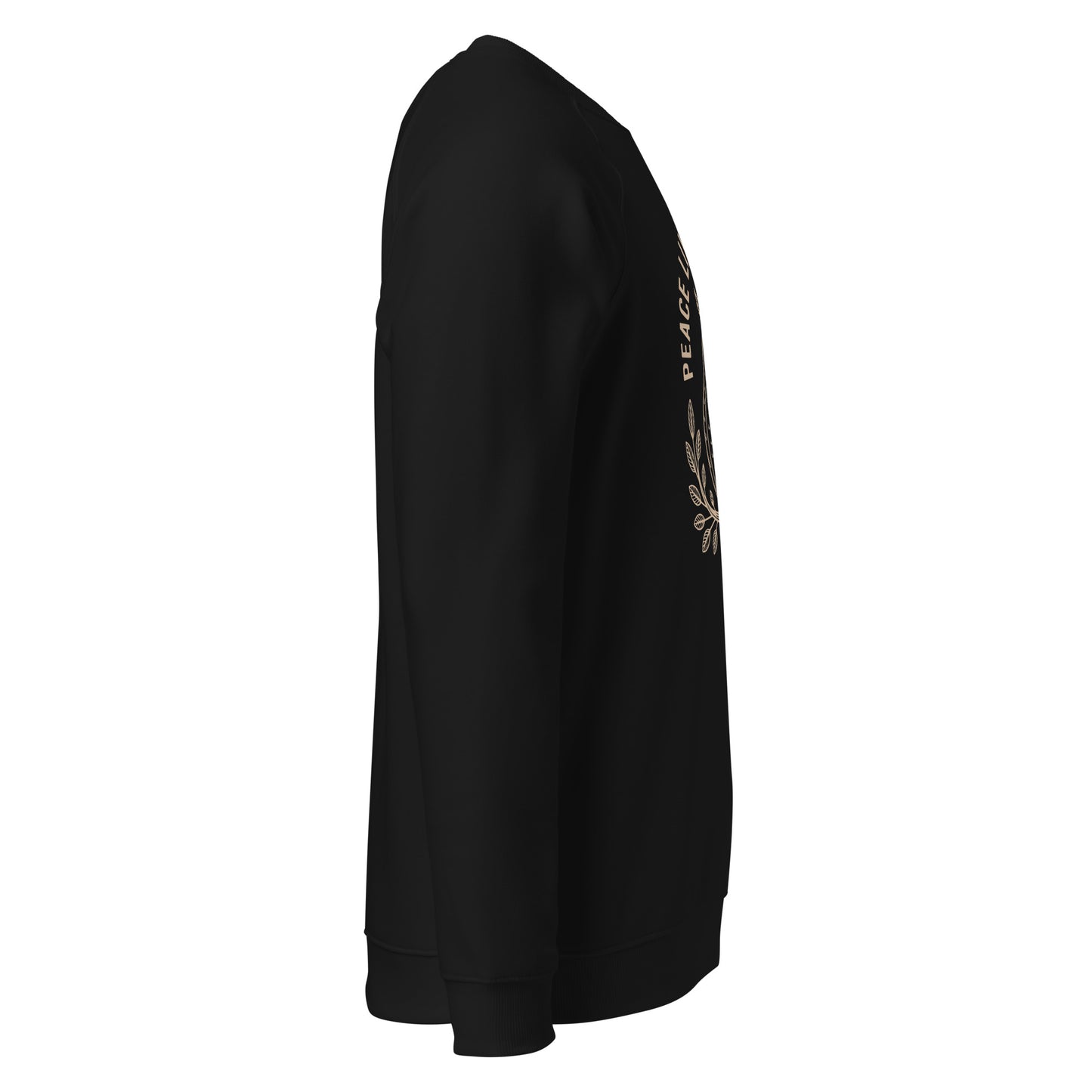 Raglan Sweatshirt: 'Peace in the Night' in Fall | Sustainable Owl Fashion USA Dudeily
