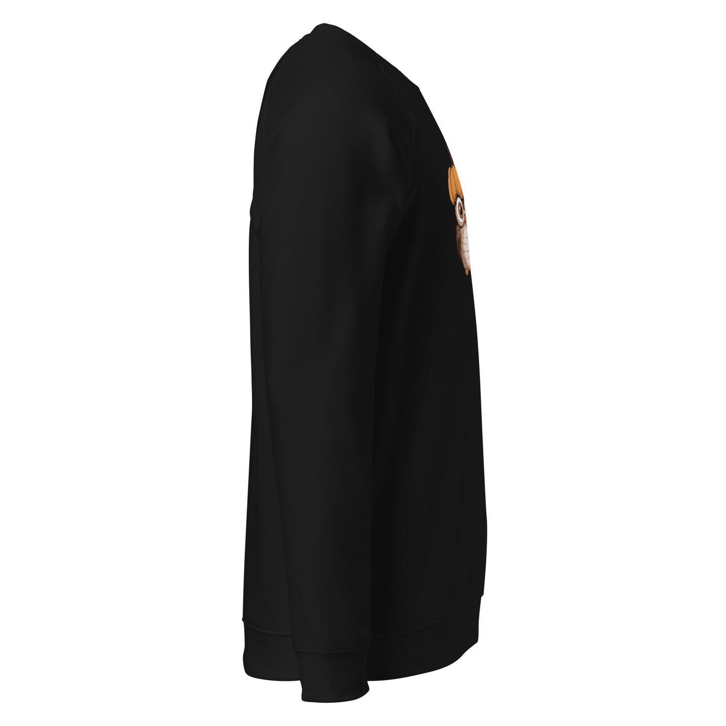Unisex Organic Raglan Sweatshirt: Halloween Owl Eco-Friendly USA Dudeily
