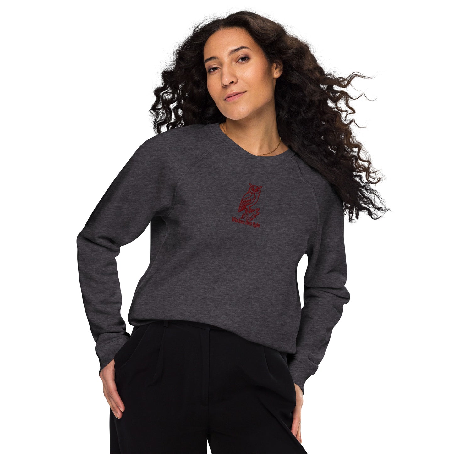 Owl Unisex Organic Raglan Sweatshirt: 'Wisdom Flies Light' in Fall | Sustainable Fashion USA Dudeily