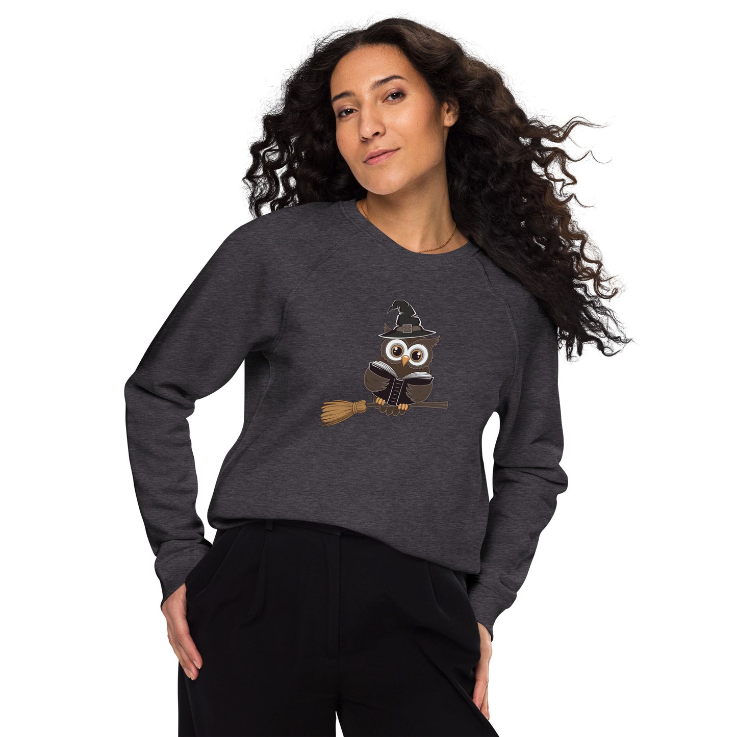 Unisex Organic Raglan Sweatshirt: Halloween Owl Eco Fashion USA Dudeily