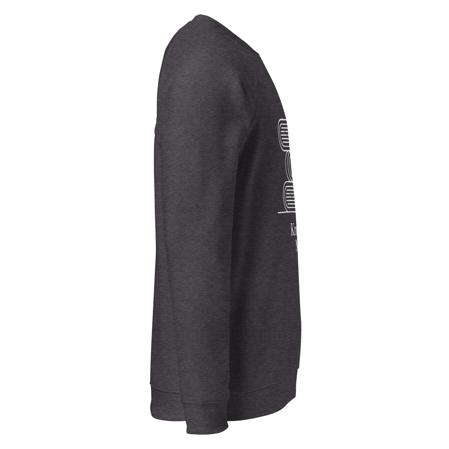 Unisex organic raglan sweatshirt Dudeily