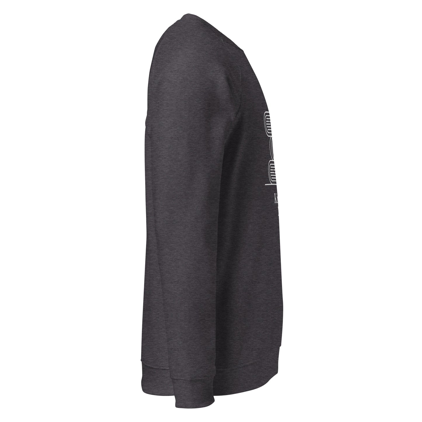 Unisex organic raglan sweatshirt Dudeily