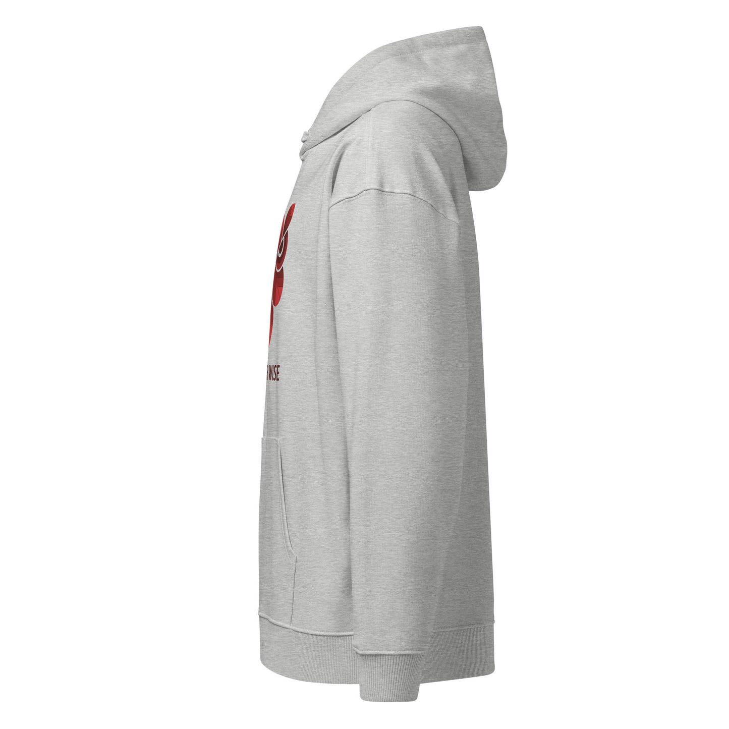 Unisex Organic Side Pocket Hoodie: 'Forever Wise' | Sustainable Owl Fashion USA Dudeily