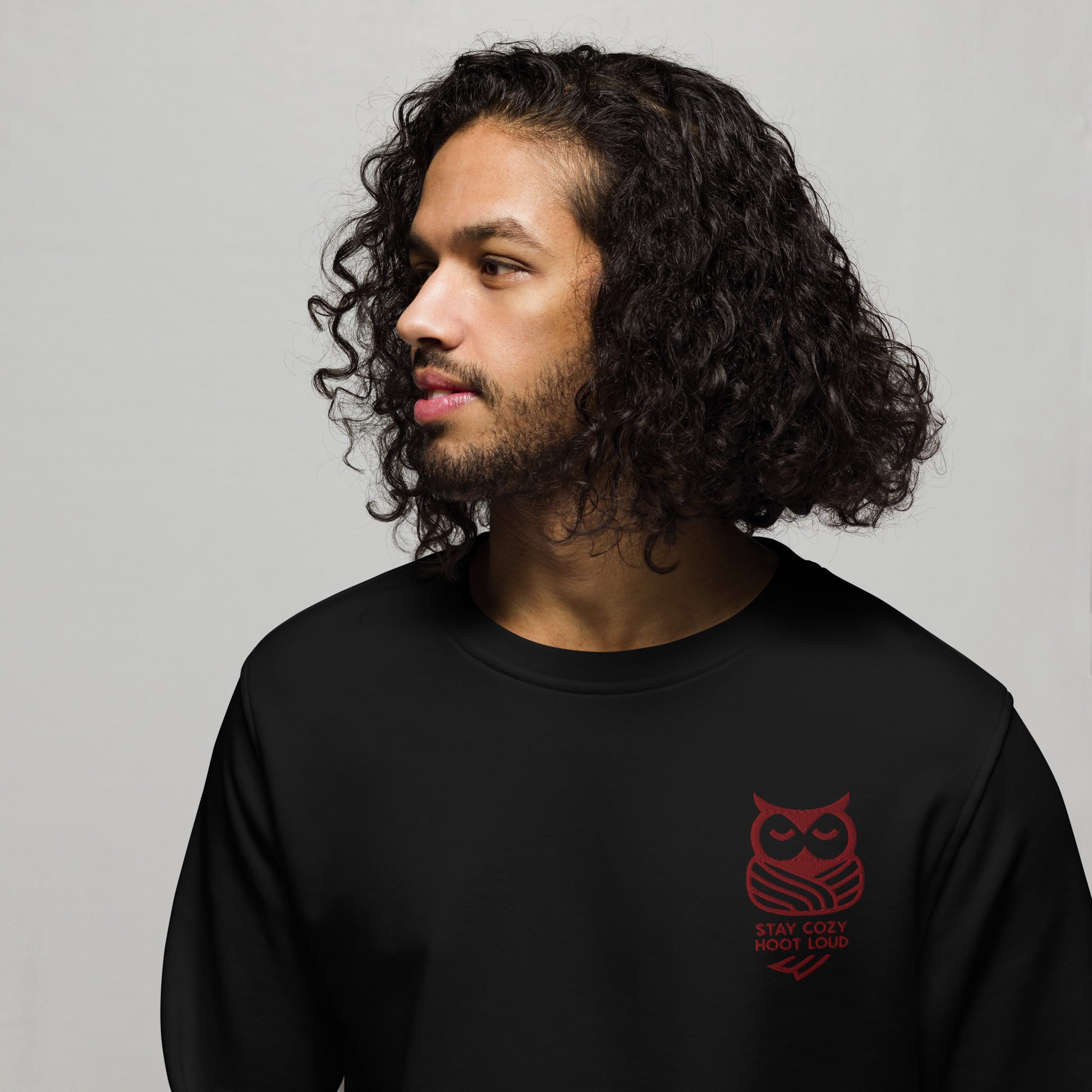 Owl Unisex Organic Sweatshirt: 'Stay Cozy Hoot Loud' in Fall | Sustainable Owl Fashion USA Dudeily