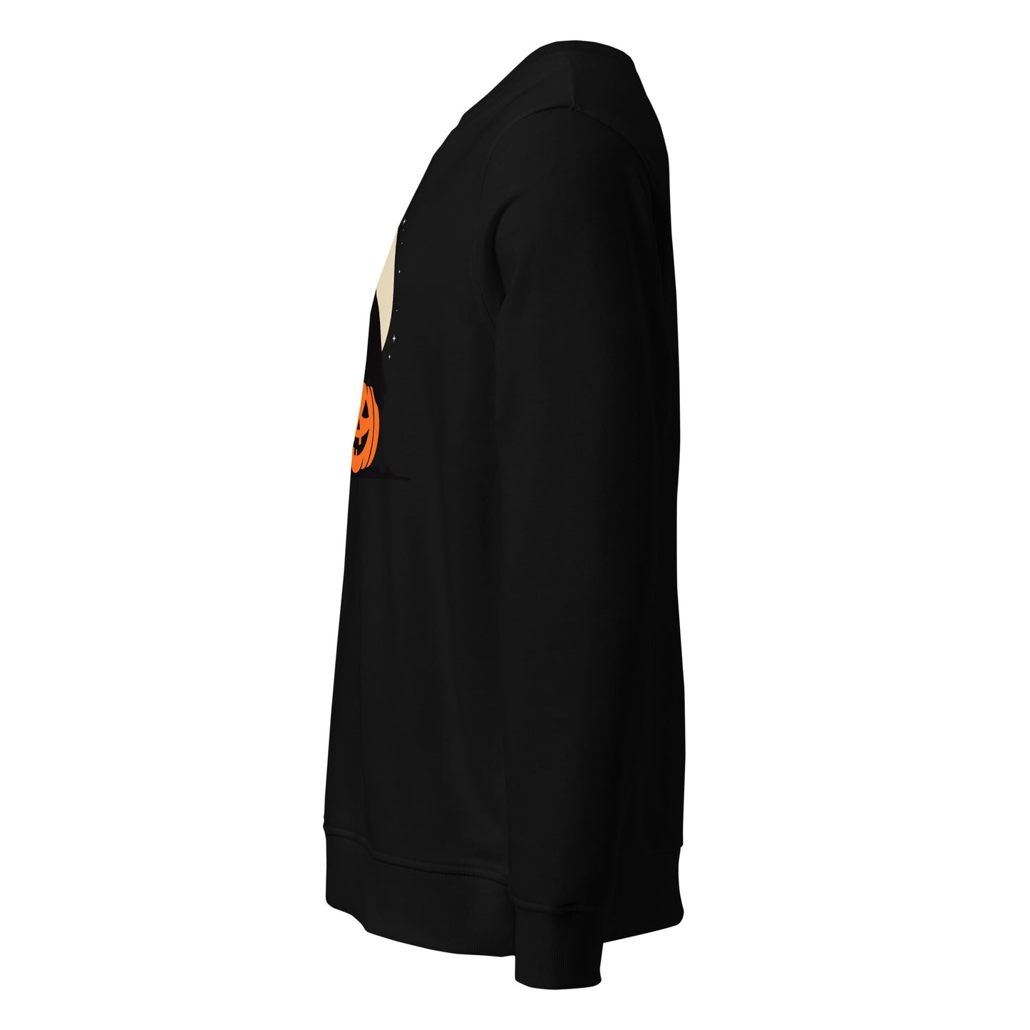 Unisex Organic Sweatshirt: Halloween Owl Cozy Eco-Friendly Style USA Dudeily