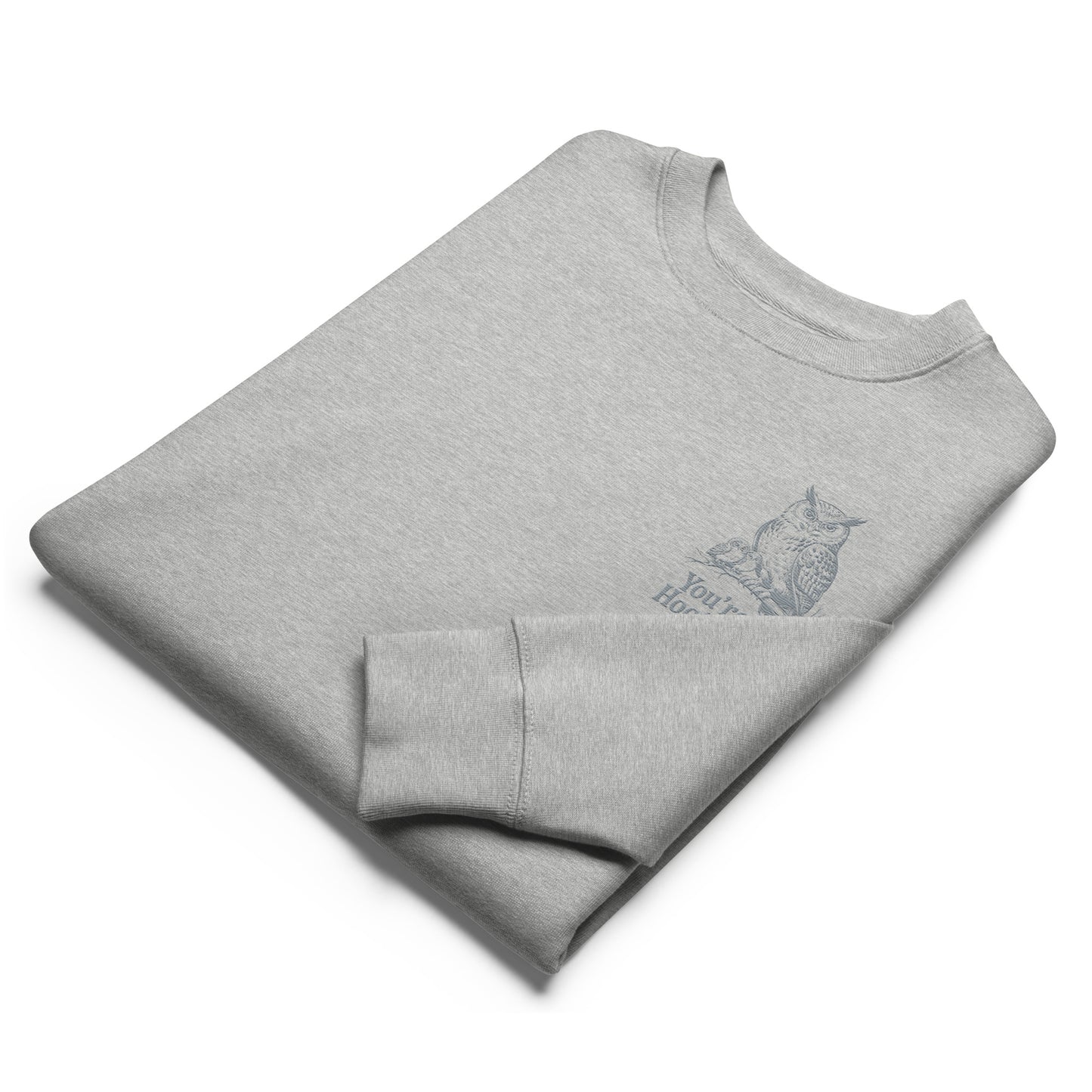 Owl-Themed Unisex Organic Sweatshirt | Sustainable & Eco-Friendly Fashion for Everyday Comfort Dudeily