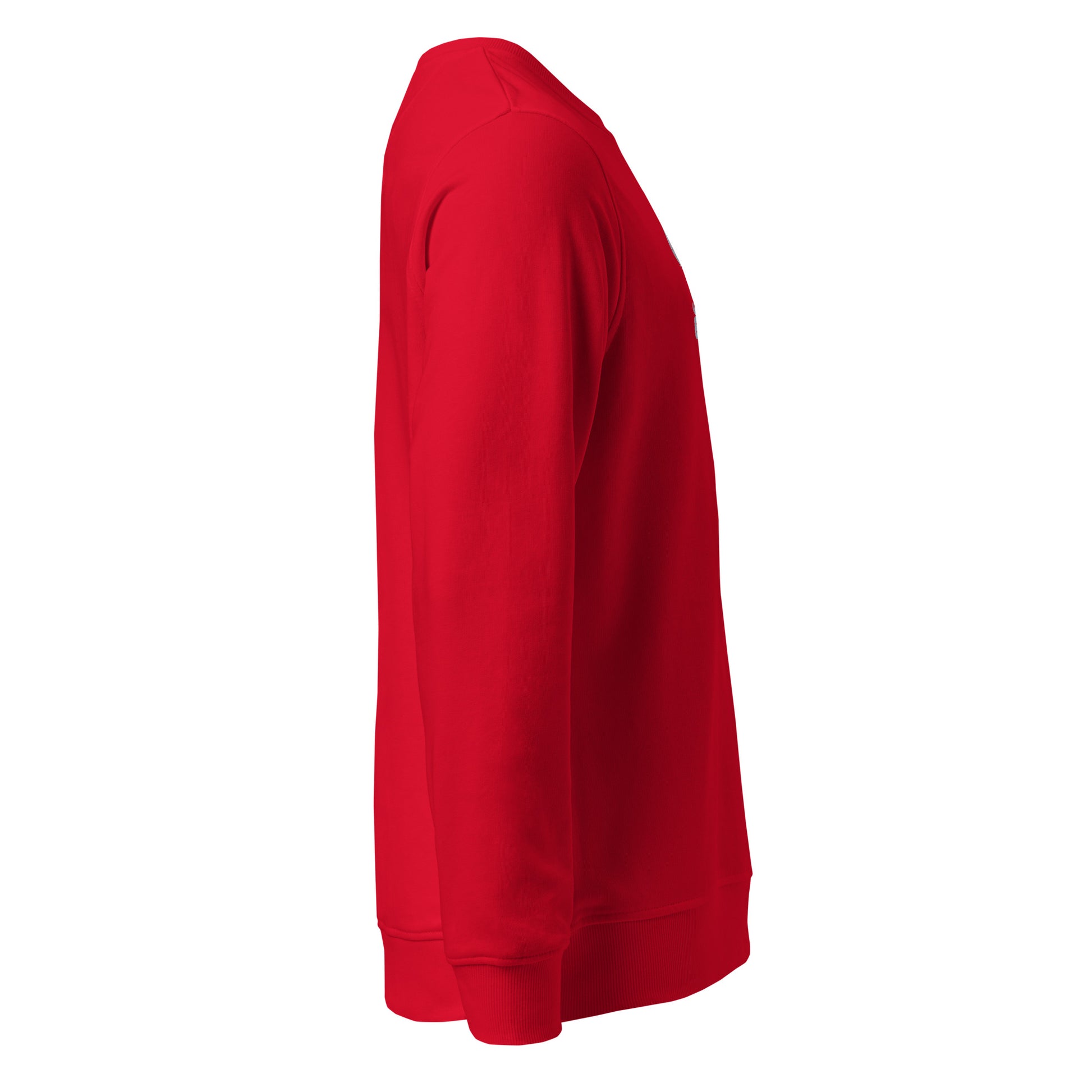 Owl Unisex Organic Sweatshirt: 'Eyes of the Earth' in Fall | Sustainable Fashion USA Dudeily