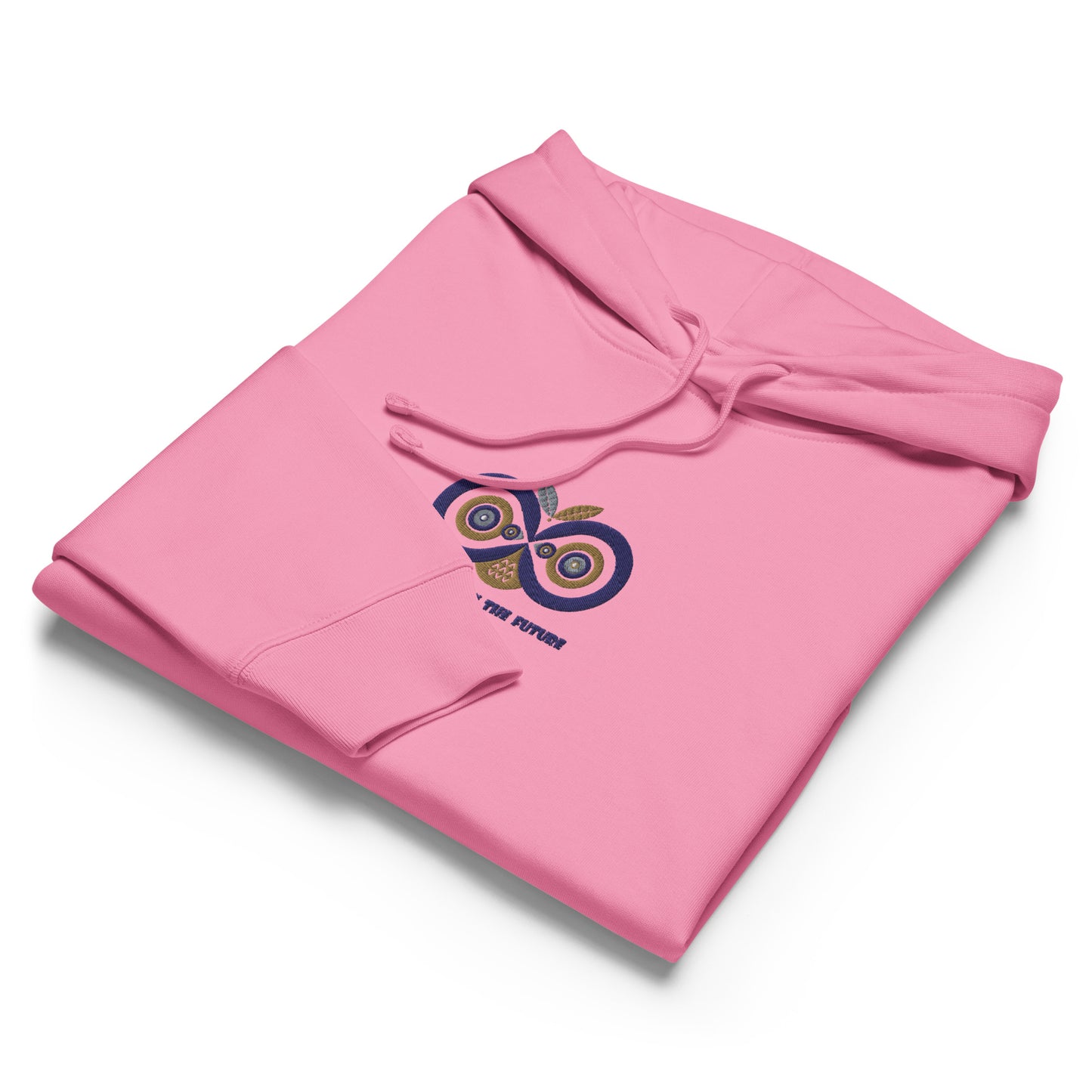 Embroidered Women’s Organic Mid-Weight Hoodie – Owl Eyes on the Future | Owl-Themed Sustainable Fashion Dudeily