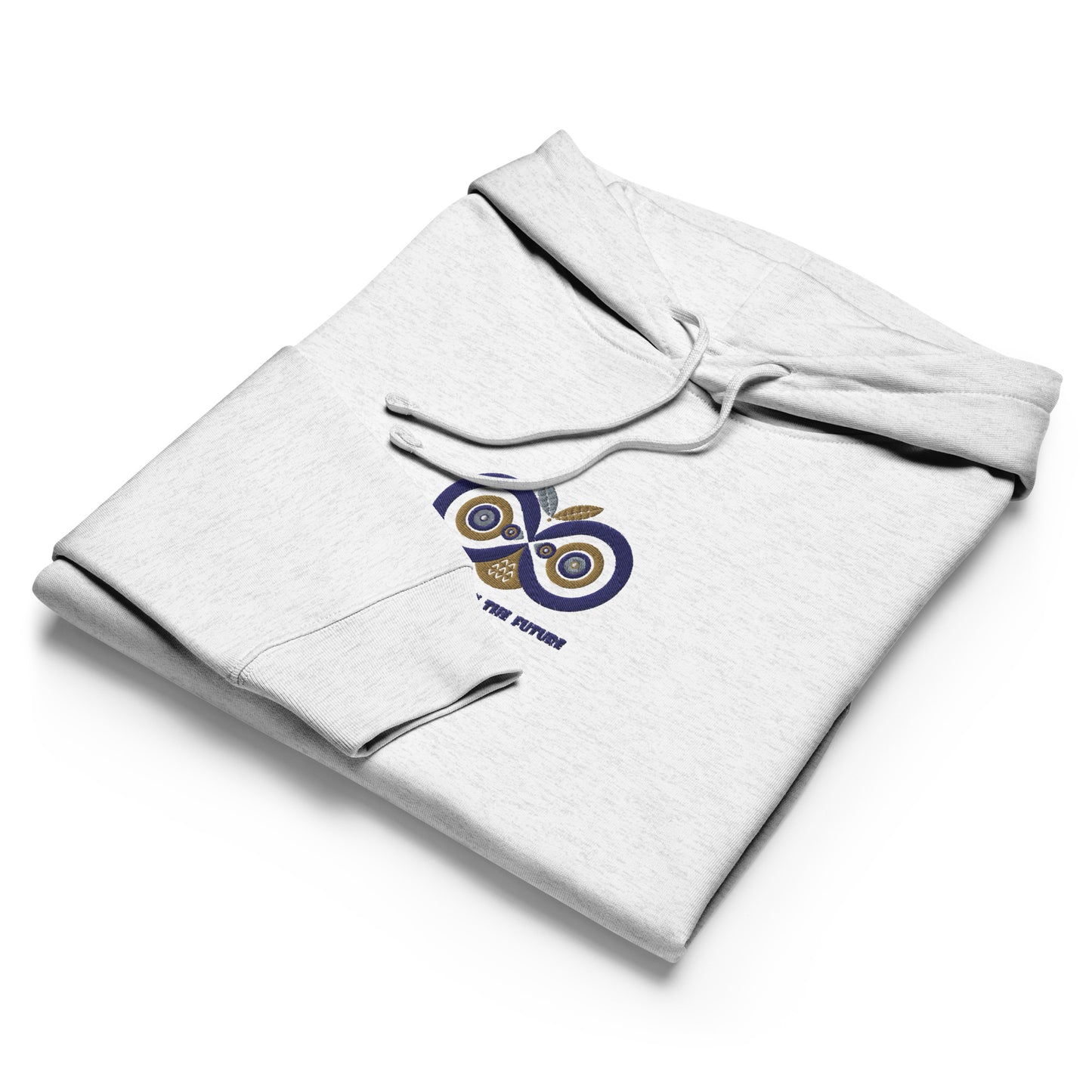 Embroidered Women’s Organic Mid-Weight Hoodie – Owl Eyes on the Future | Owl-Themed Sustainable Fashion Dudeily