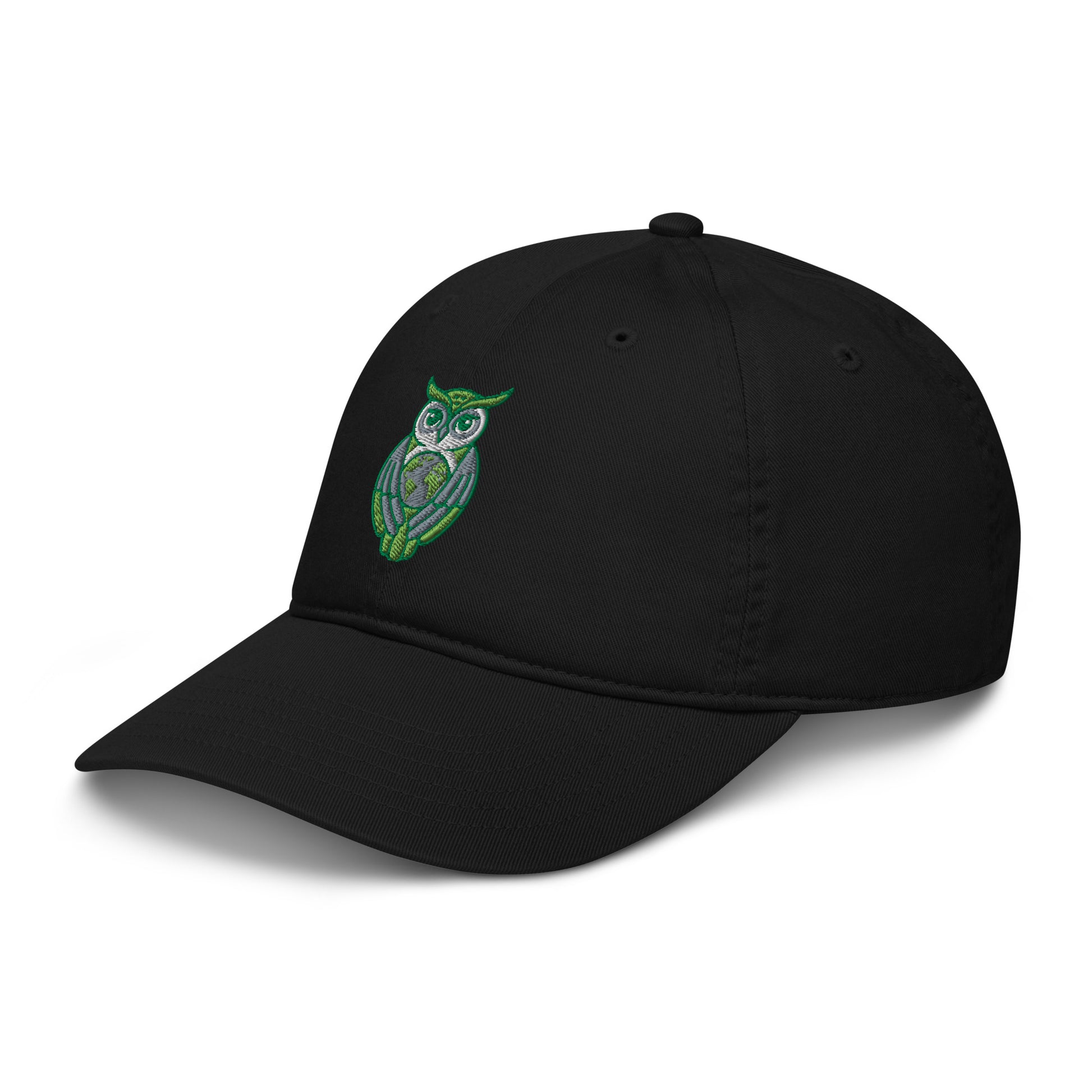 Organic dad hat Dudeily