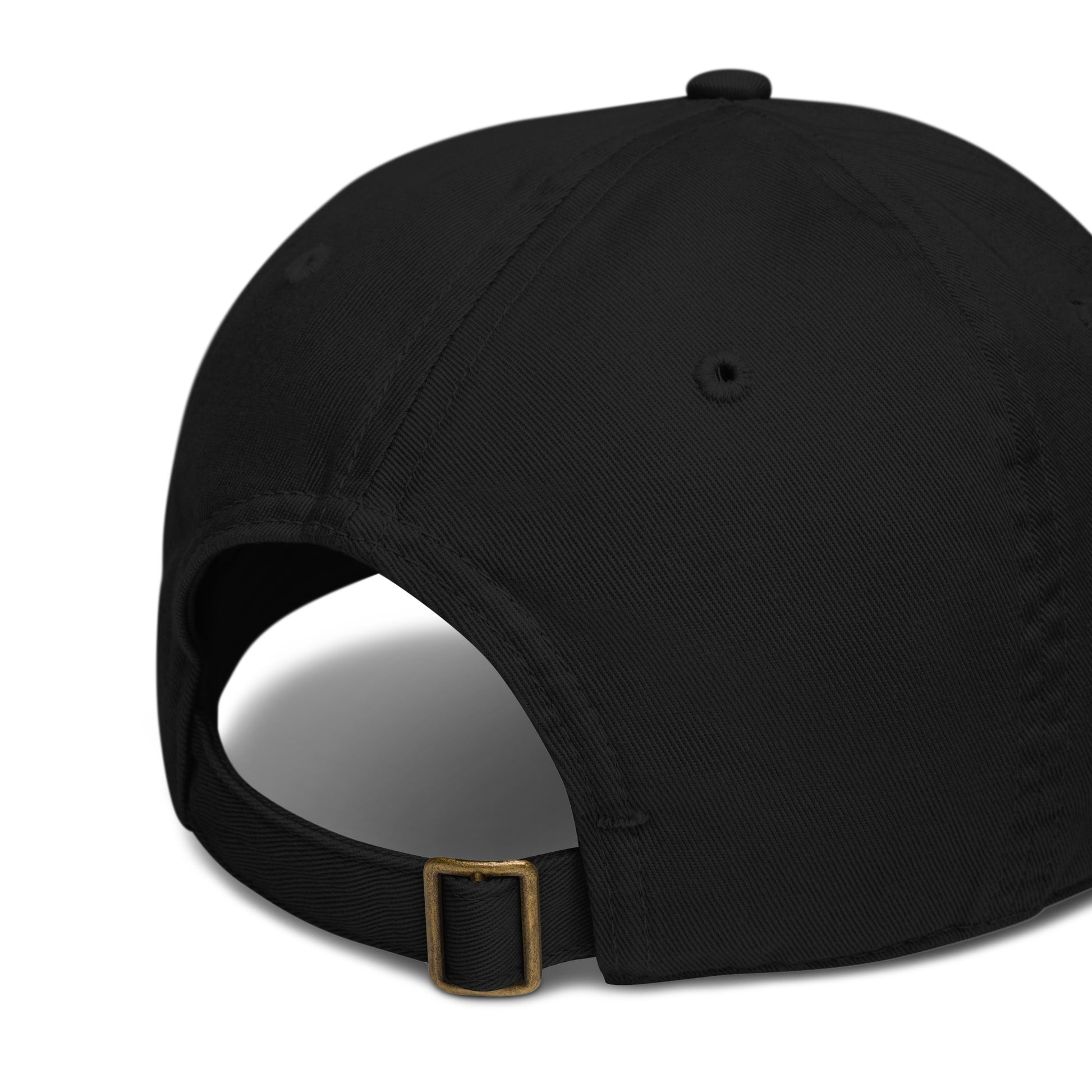 Organic dad hat Dudeily