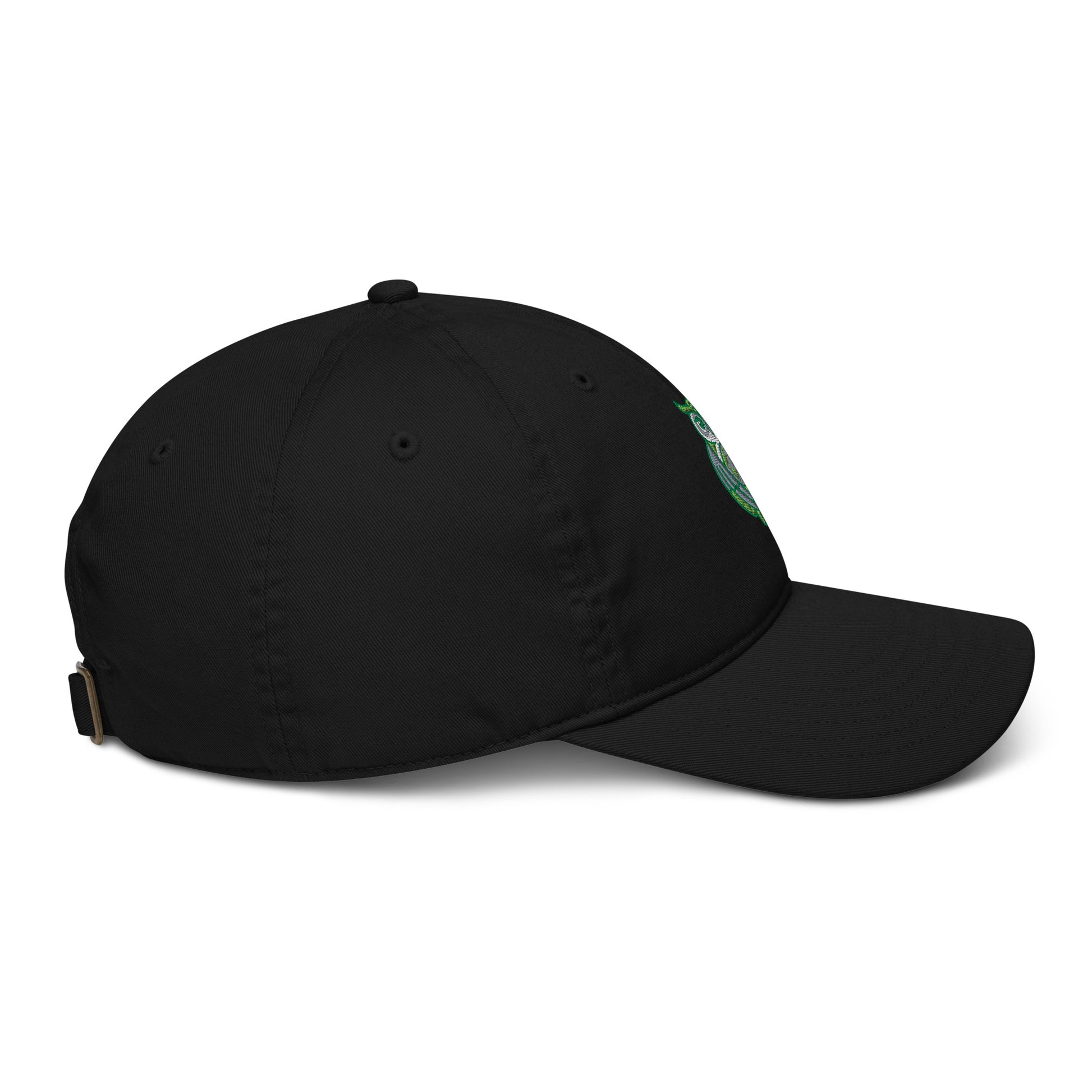 Organic dad hat Dudeily