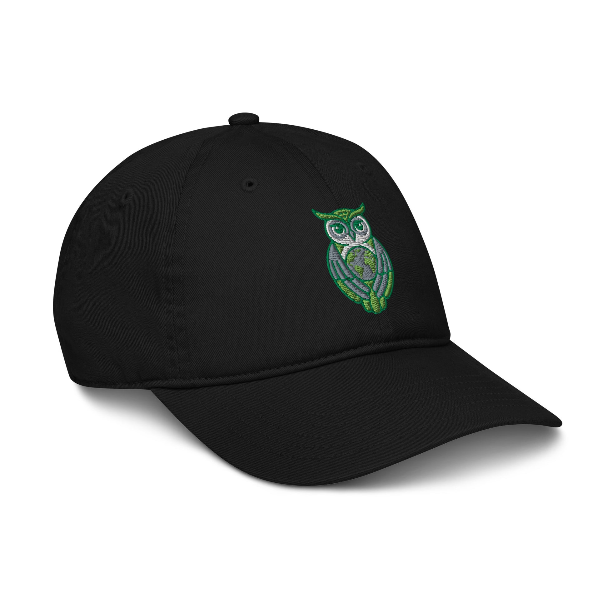 Organic dad hat Dudeily