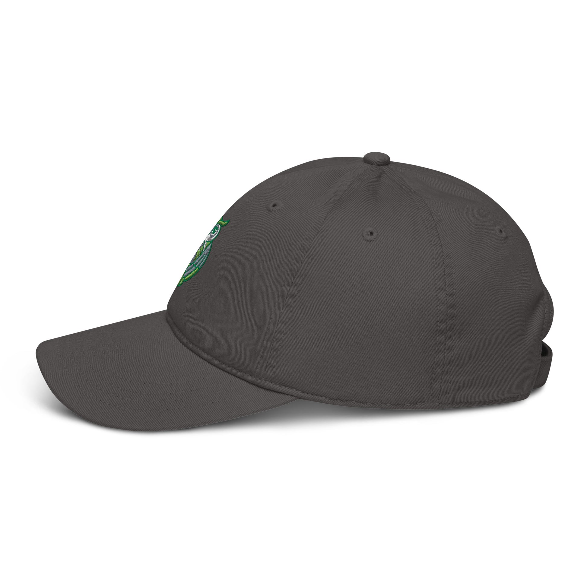 Organic dad hat Dudeily