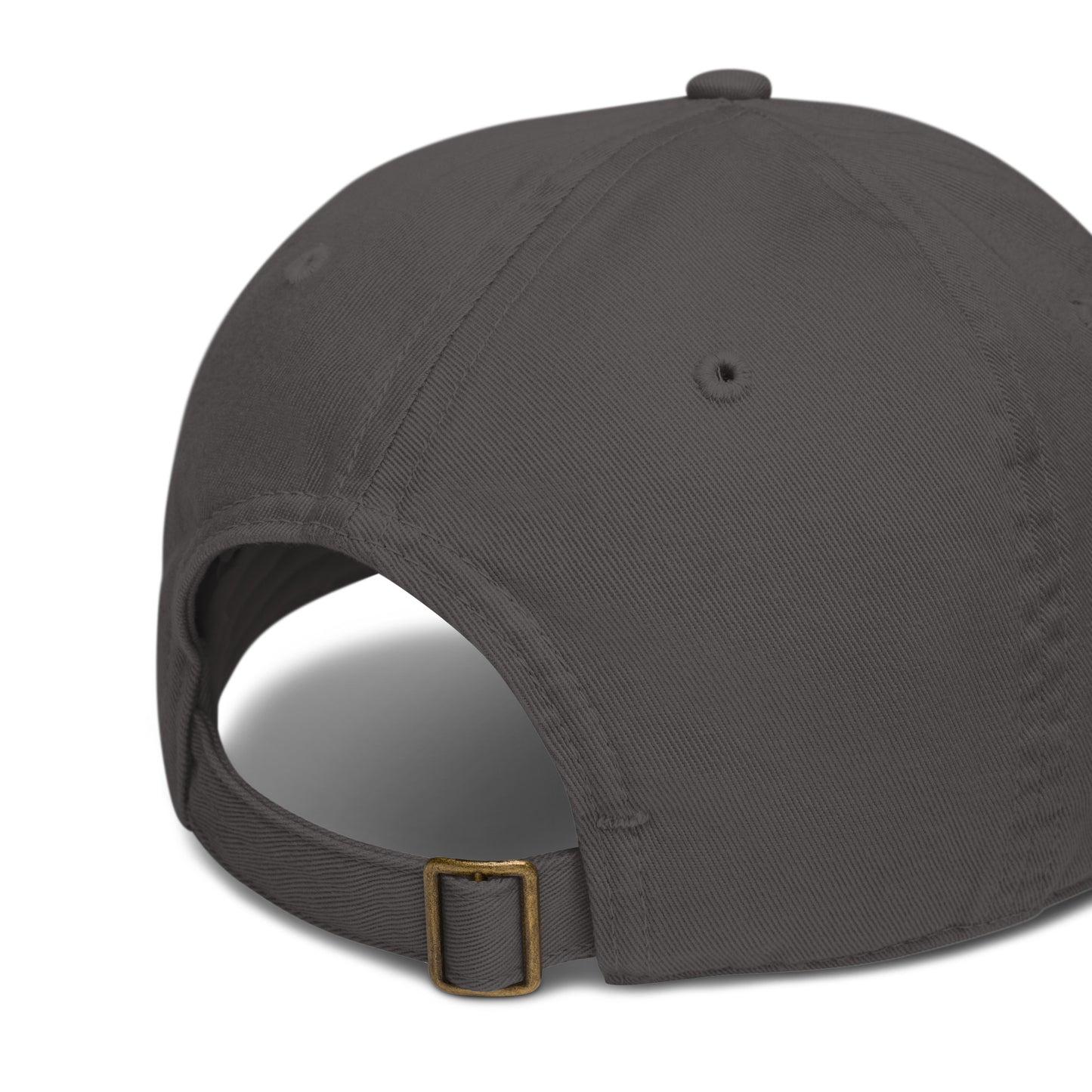 Organic dad hat Dudeily