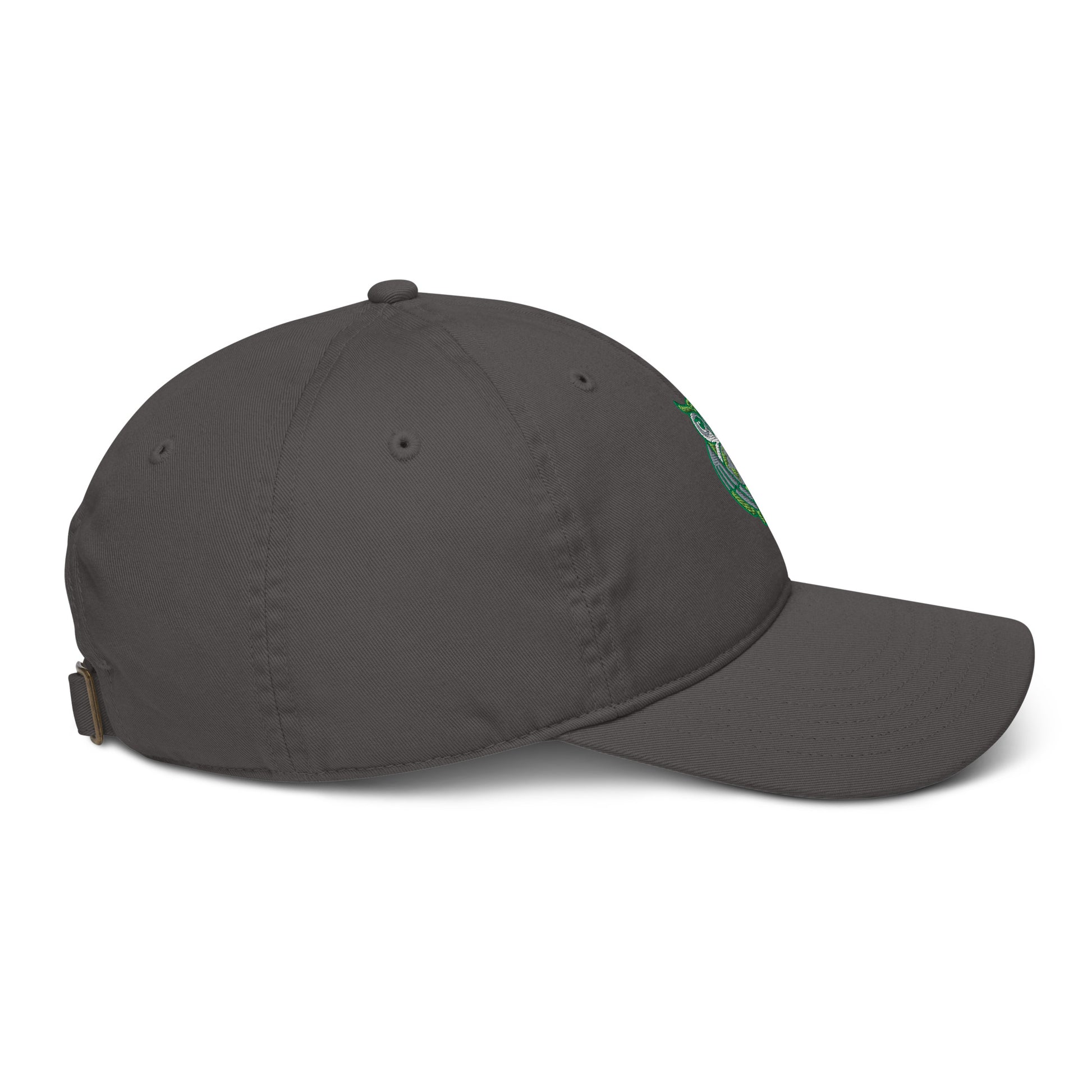 Organic dad hat Dudeily
